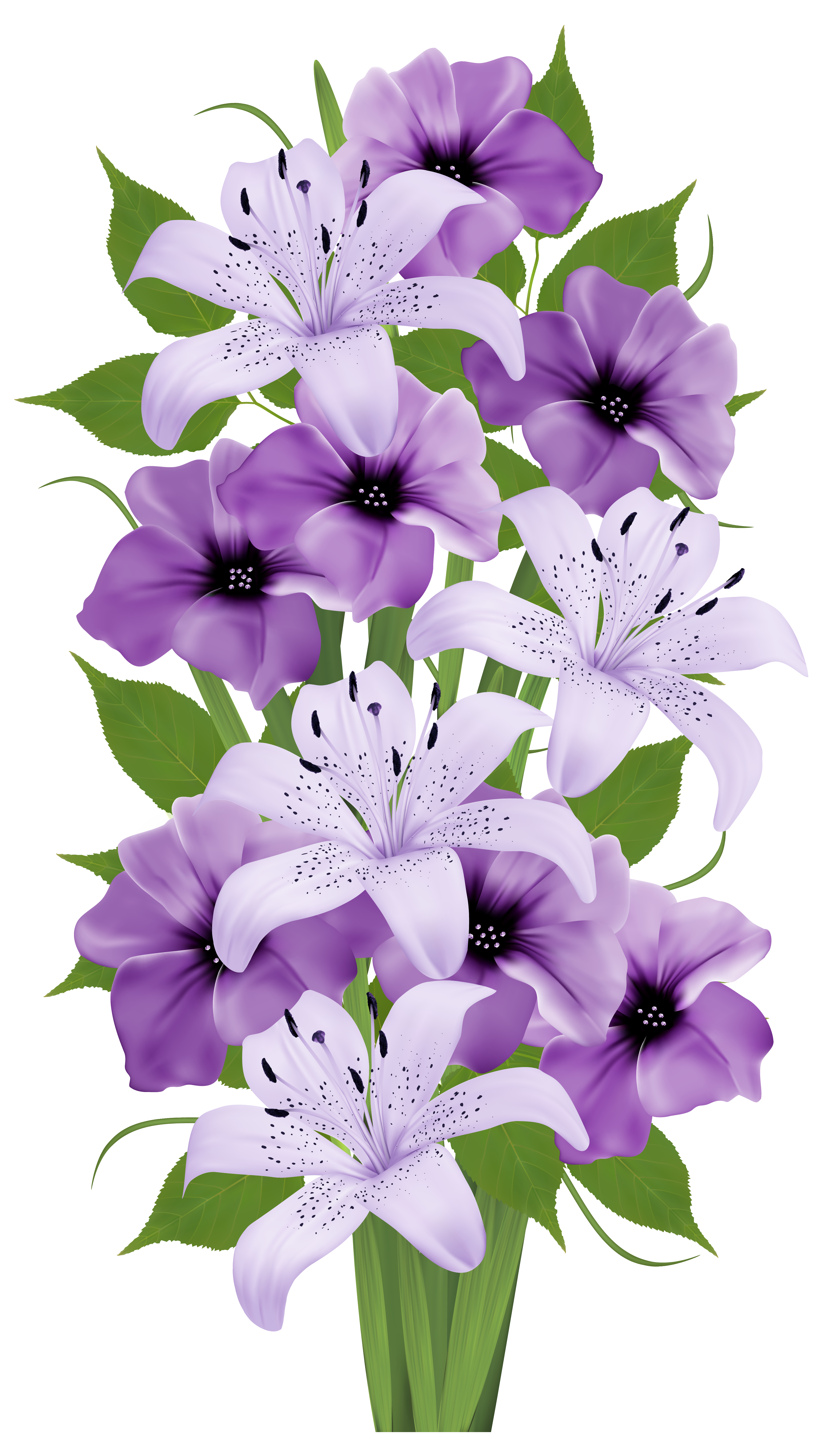 exotic flowers bouquet png