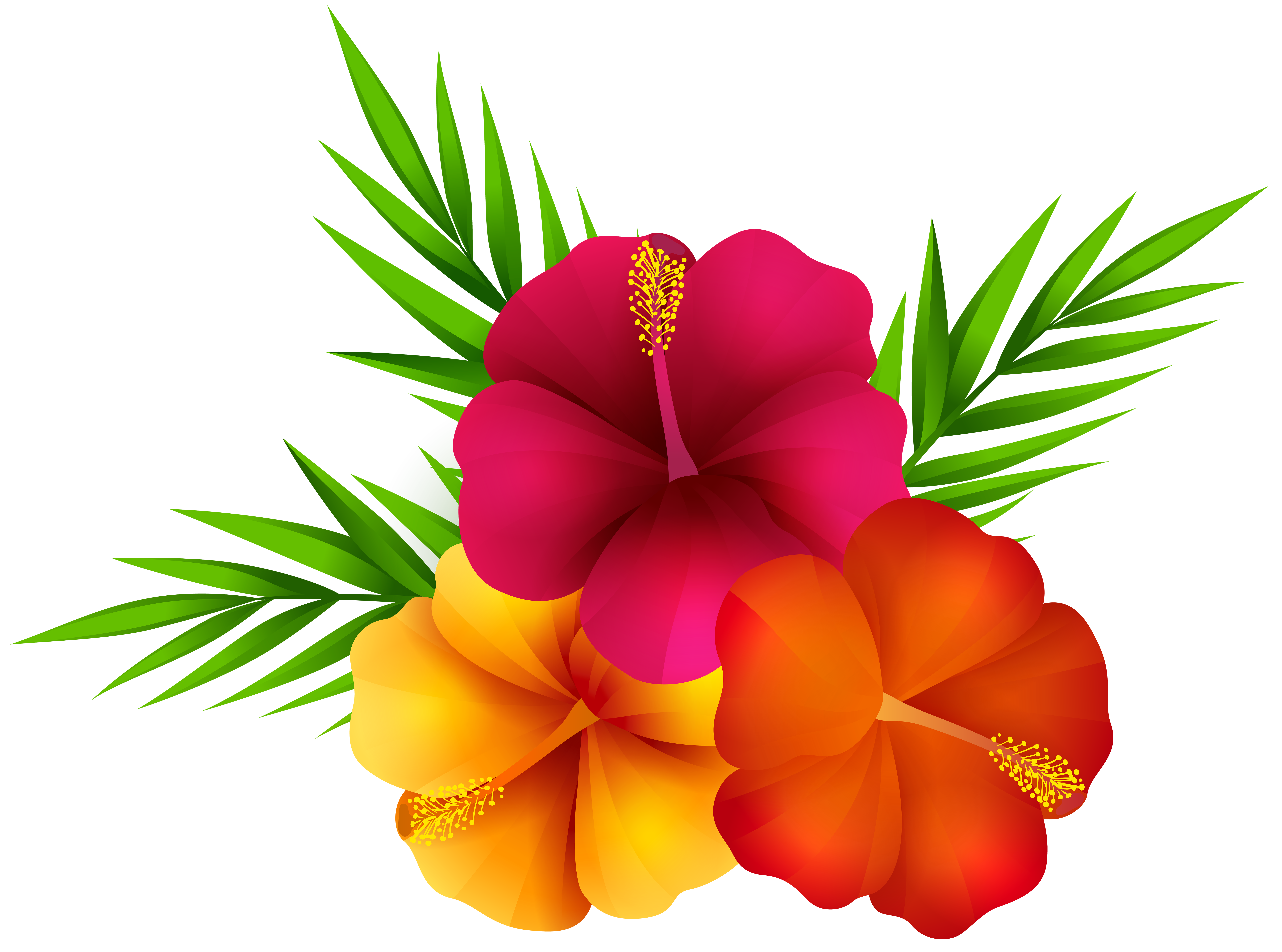 Exotic Flowers Png Clip Art Image Gallery Yopriceville High Quality Images And Transparent Png Free Clipart Exotic Flowers Png Clip Art Image Gallery Yopriceville High Quality Images And Transparent Png Free Clipart