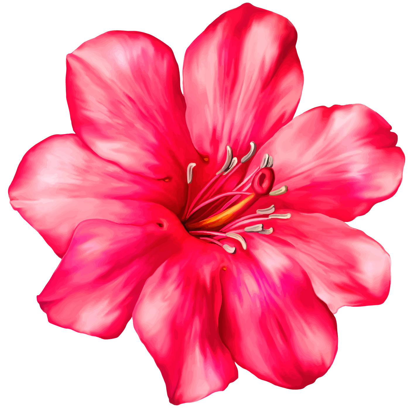 Exotic Pink Flower PNG Clipart Picture | Gallery Yopriceville - High