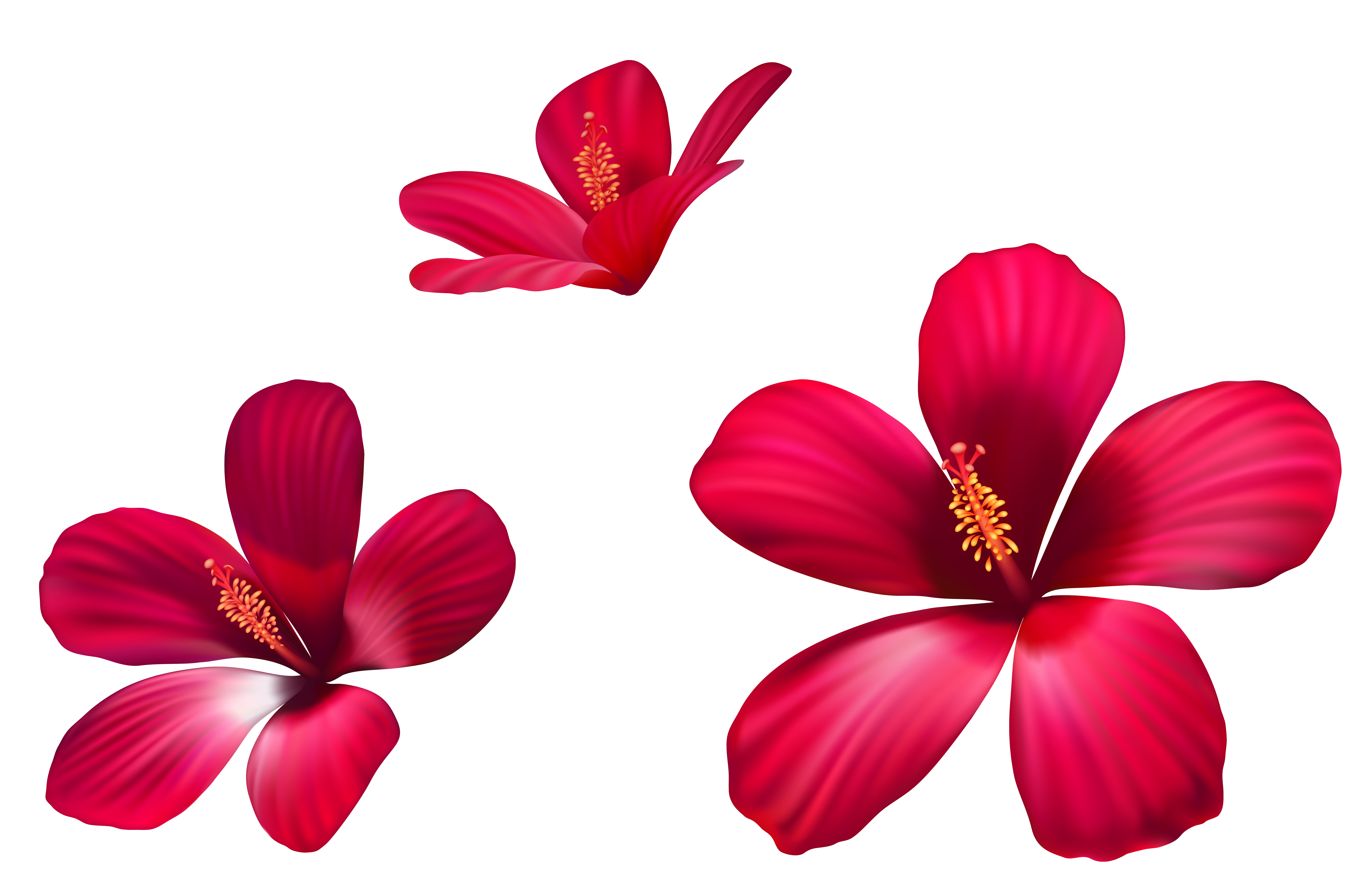 Exotic Pink Flowers Png Clipart Image Gallery Yopriceville High Quality Images And Transparent Png Free Clipart