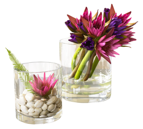 Flower Decorations PNG Picture | Gallery Yopriceville - High-Quality