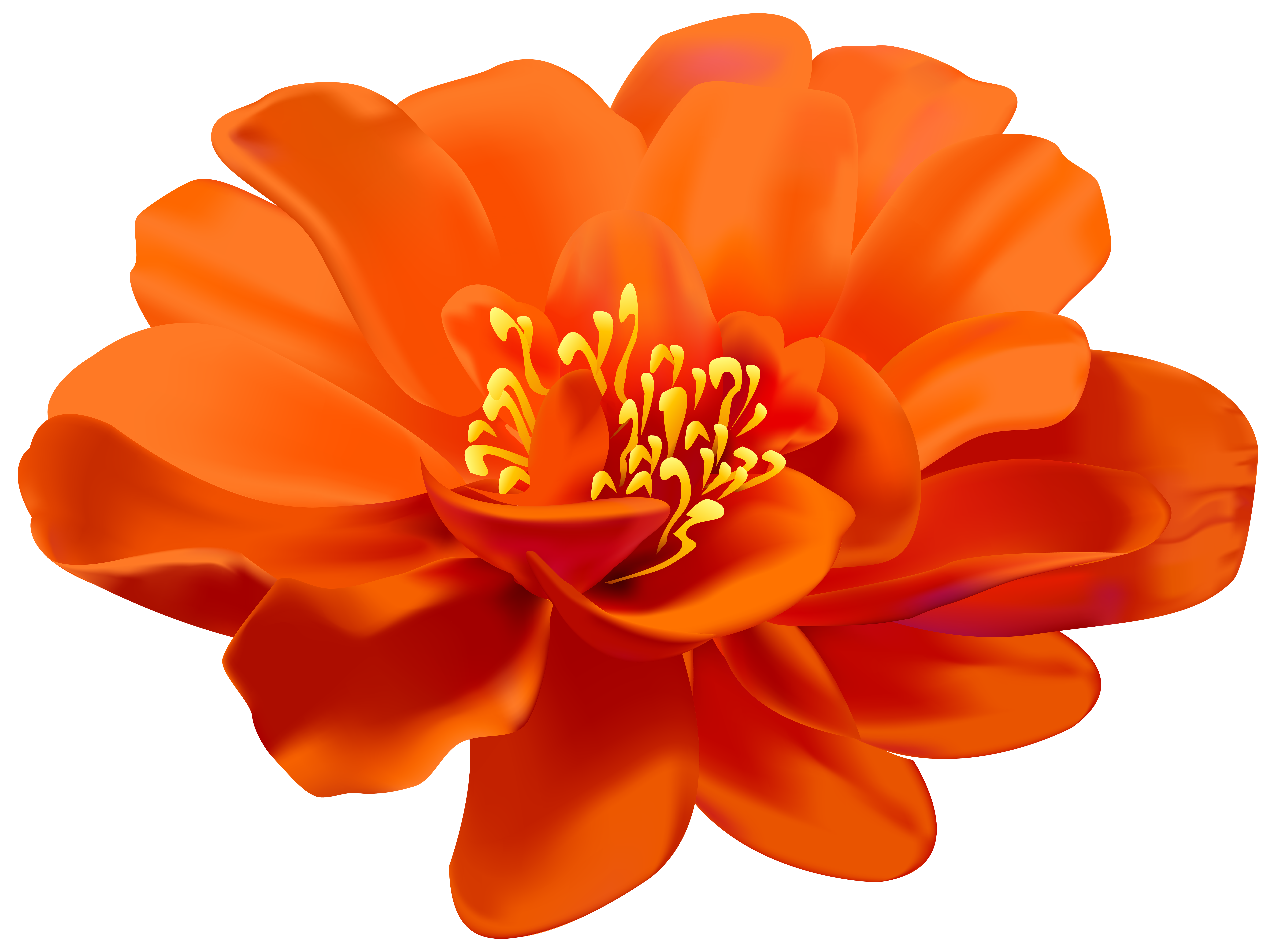 Flower Orange Transparent Png Clip Art Image Gallery Yopriceville High Quality Images And Transparent Png Free Clipart,Bombay Gin And Tonic Recipe