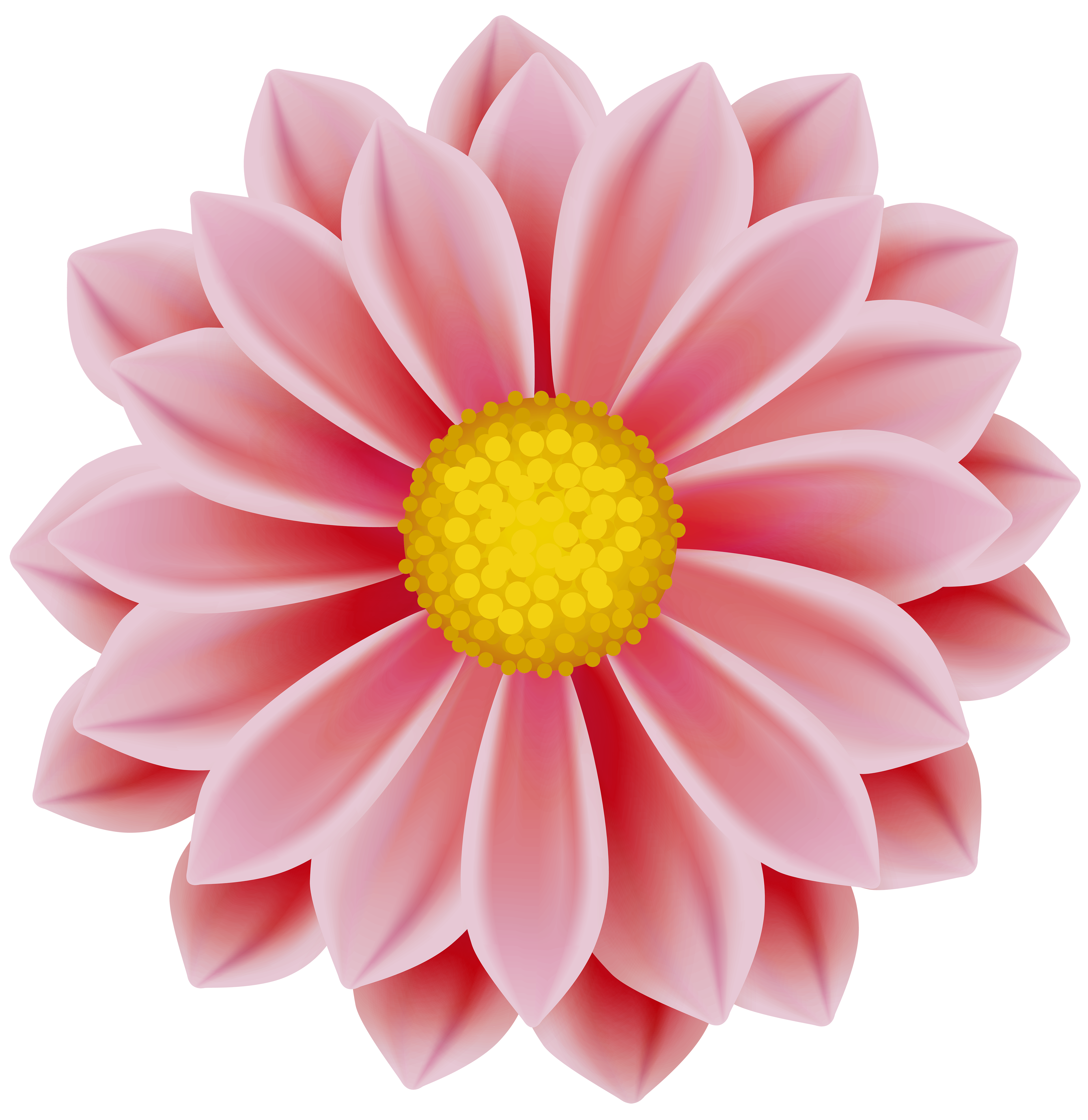 Flower PNG Clip Art | Gallery Yopriceville - High-Quality ...