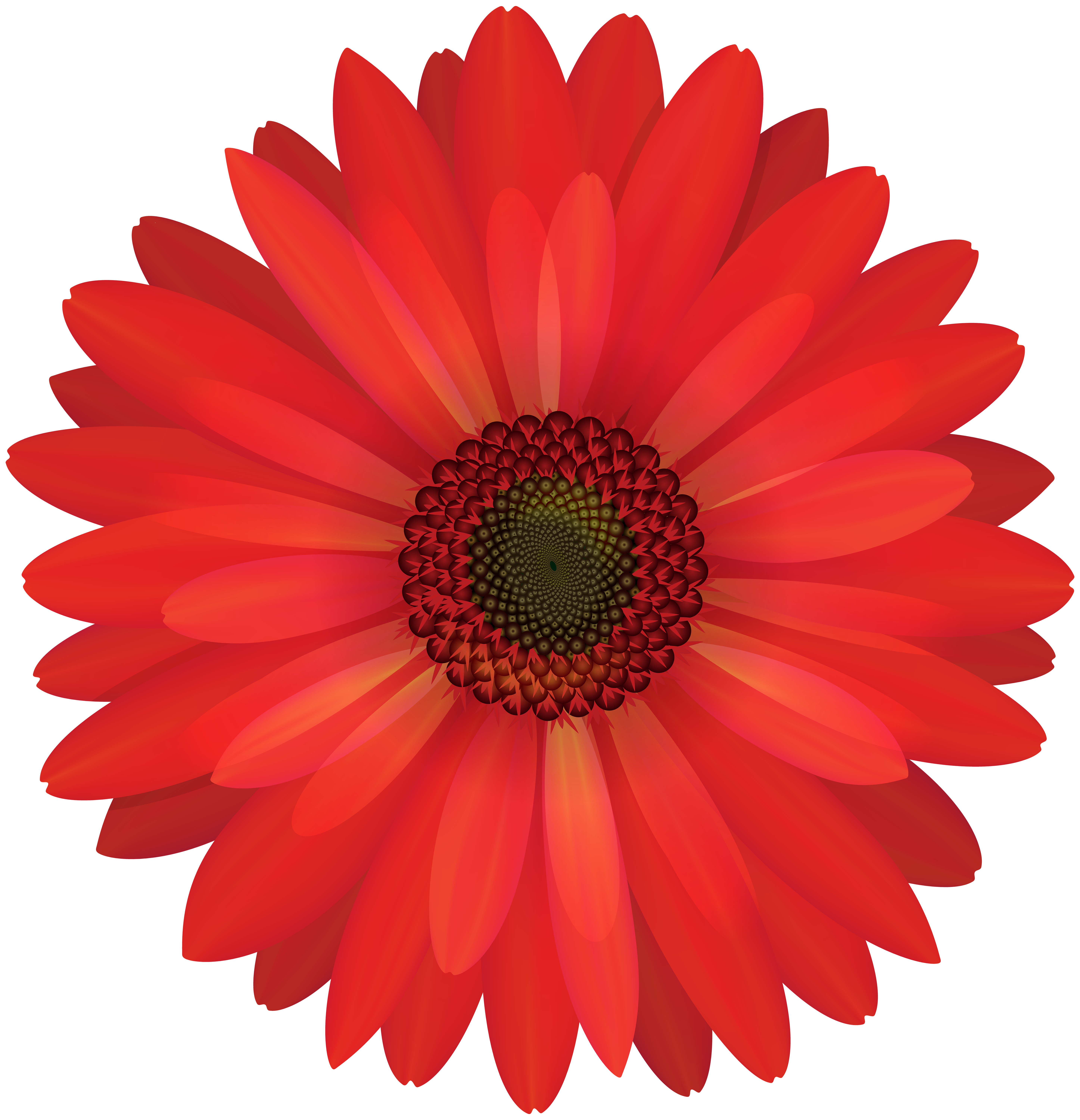 gerbera red flower png clip art gallery yopriceville christmas bear clip art