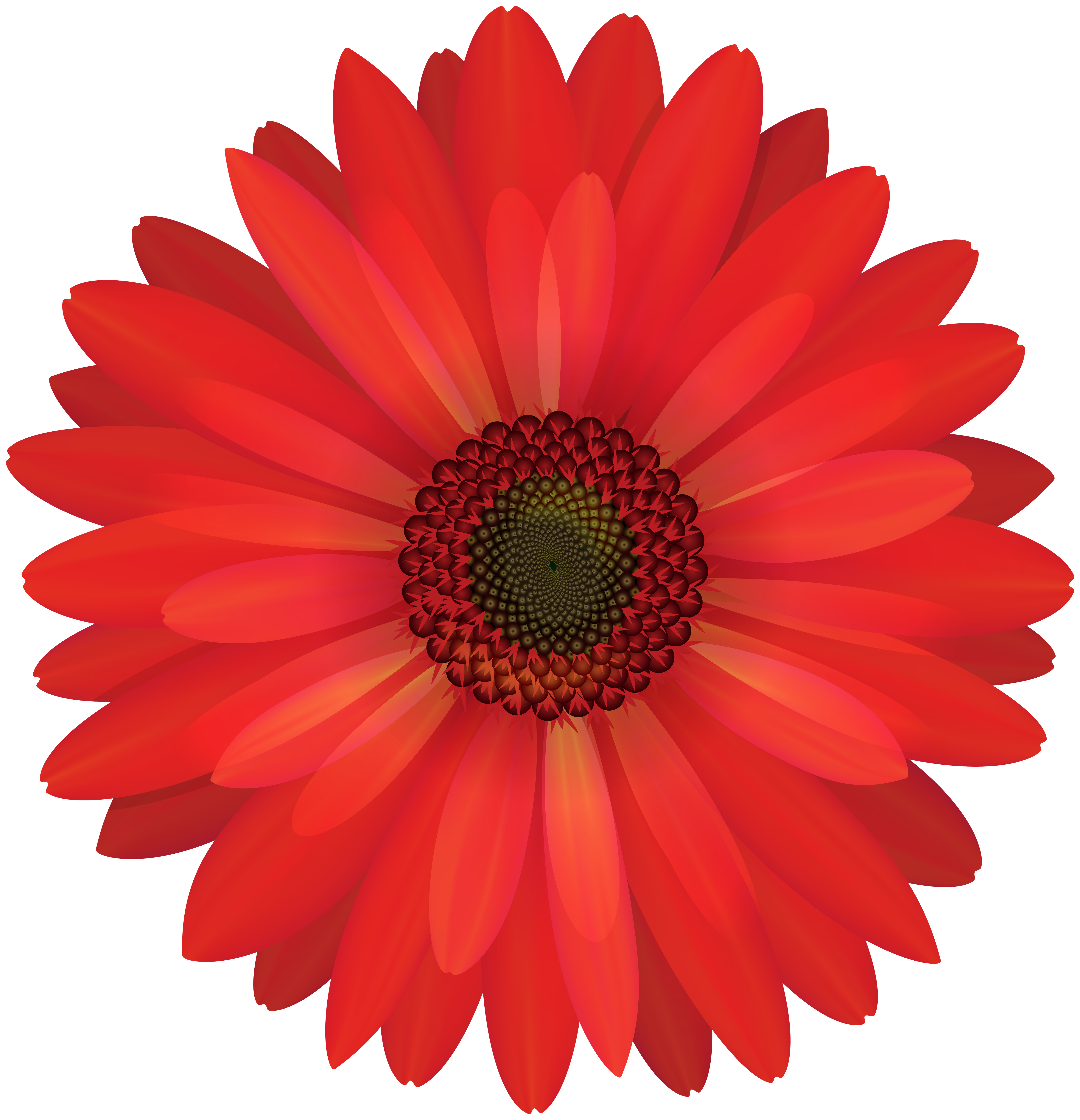 Gerbera Red Flower PNG Clip Art​  Gallery Yopriceville - High-Quality Free  Images and Transparent PNG Clipart