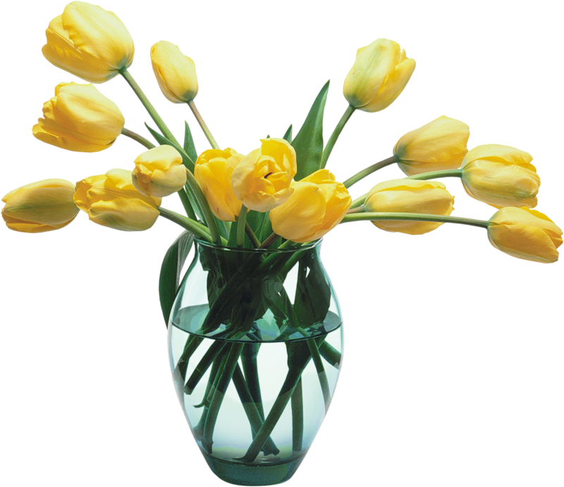 Download Glass Vase With Yellow Tulips Gallery Yopriceville High Quality Images And Transparent Png Free Clipart PSD Mockup Templates