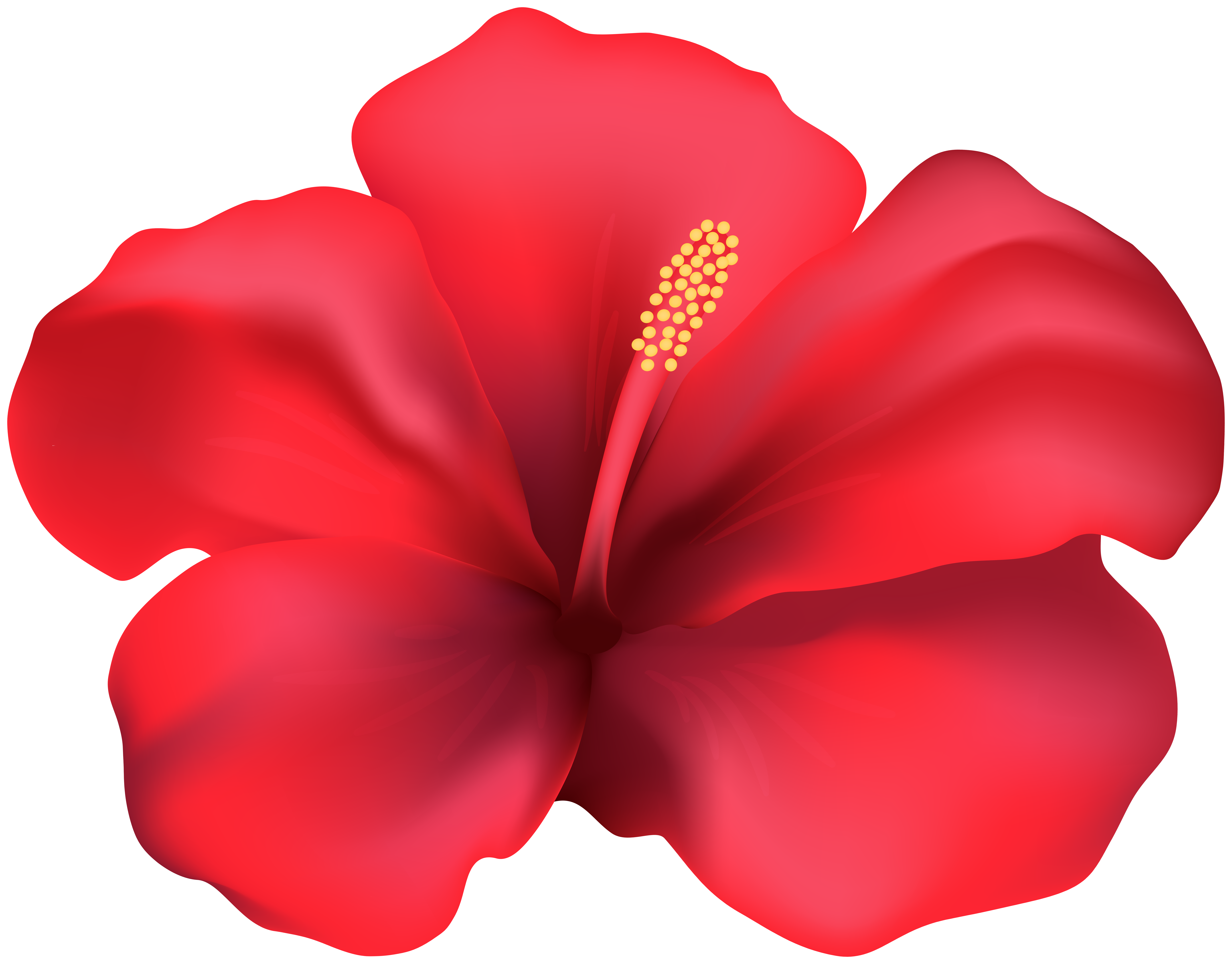 Hibiscus Red Flower Png Clipart Gallery Yopriceville High Quality Images And Transparent Png Free Clipart