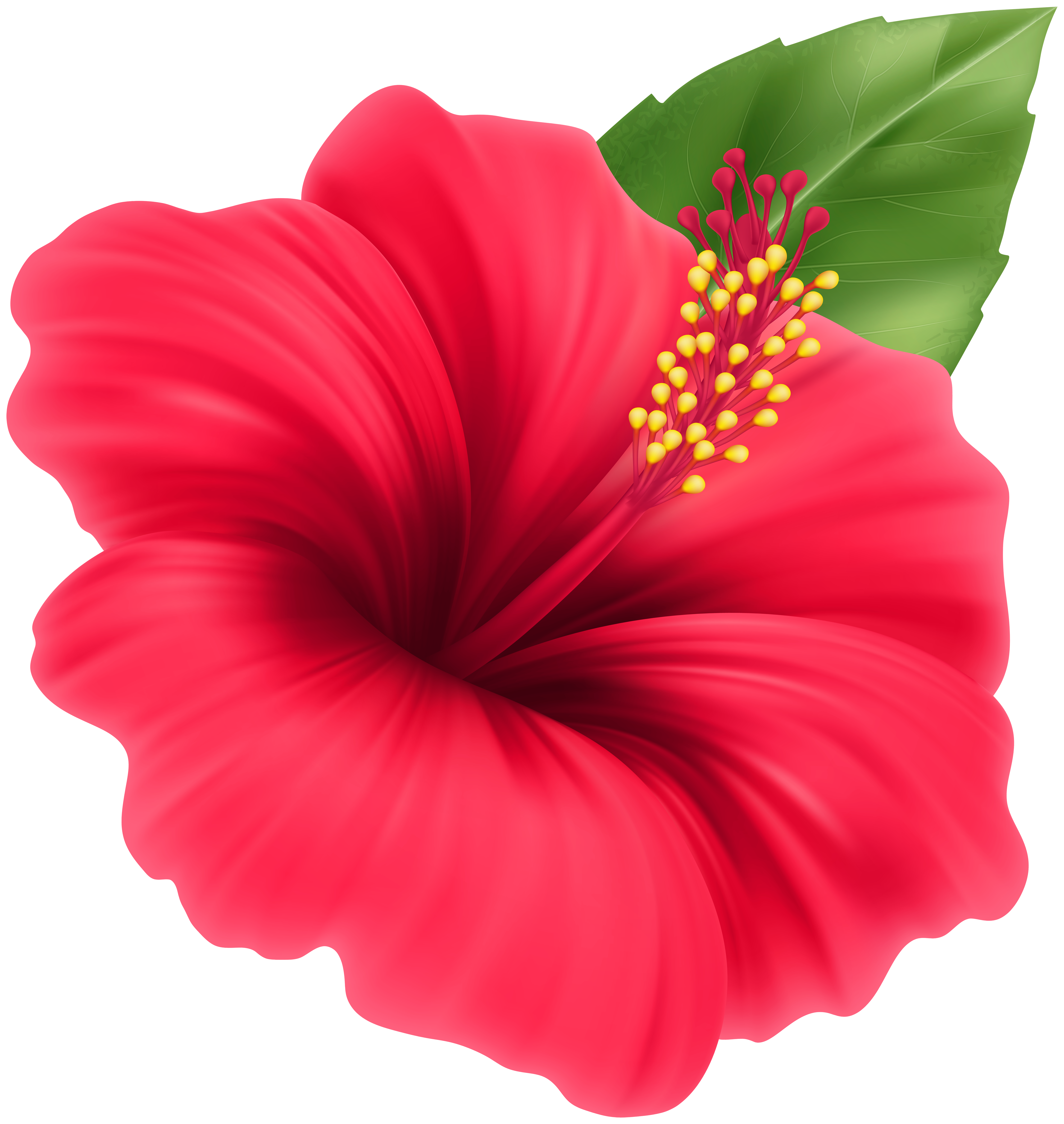Red Flower Clip Art Image​  Gallery Yopriceville - High-Quality
