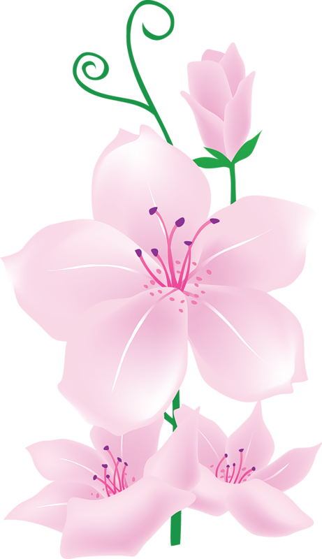 Light Pink Flowers Clipart | Gallery Yopriceville - High-Quality Images