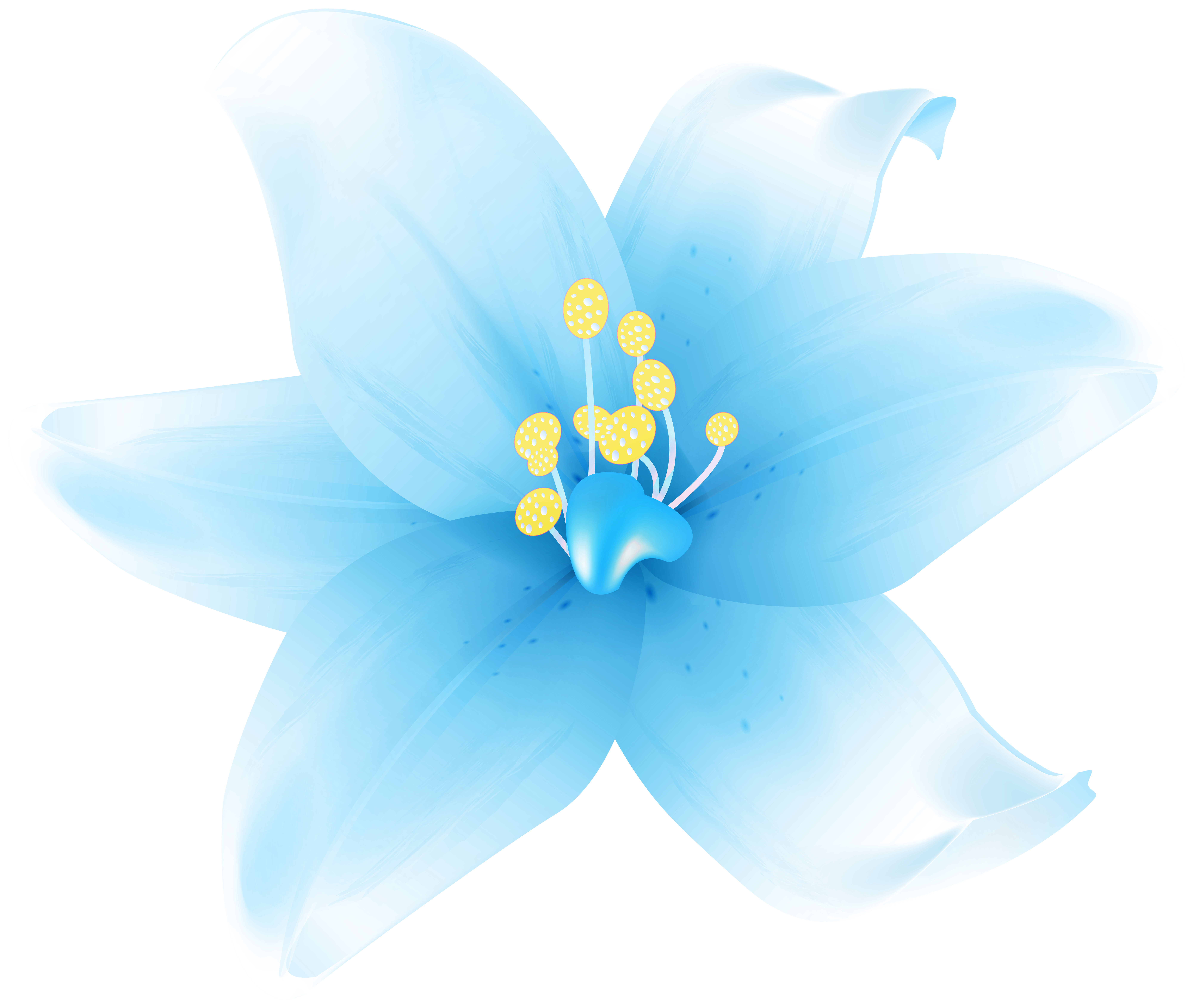Lily Flower Blue PNG Transparent Clipart​  Gallery Yopriceville -  High-Quality Free Images and Transparent PNG Clipart