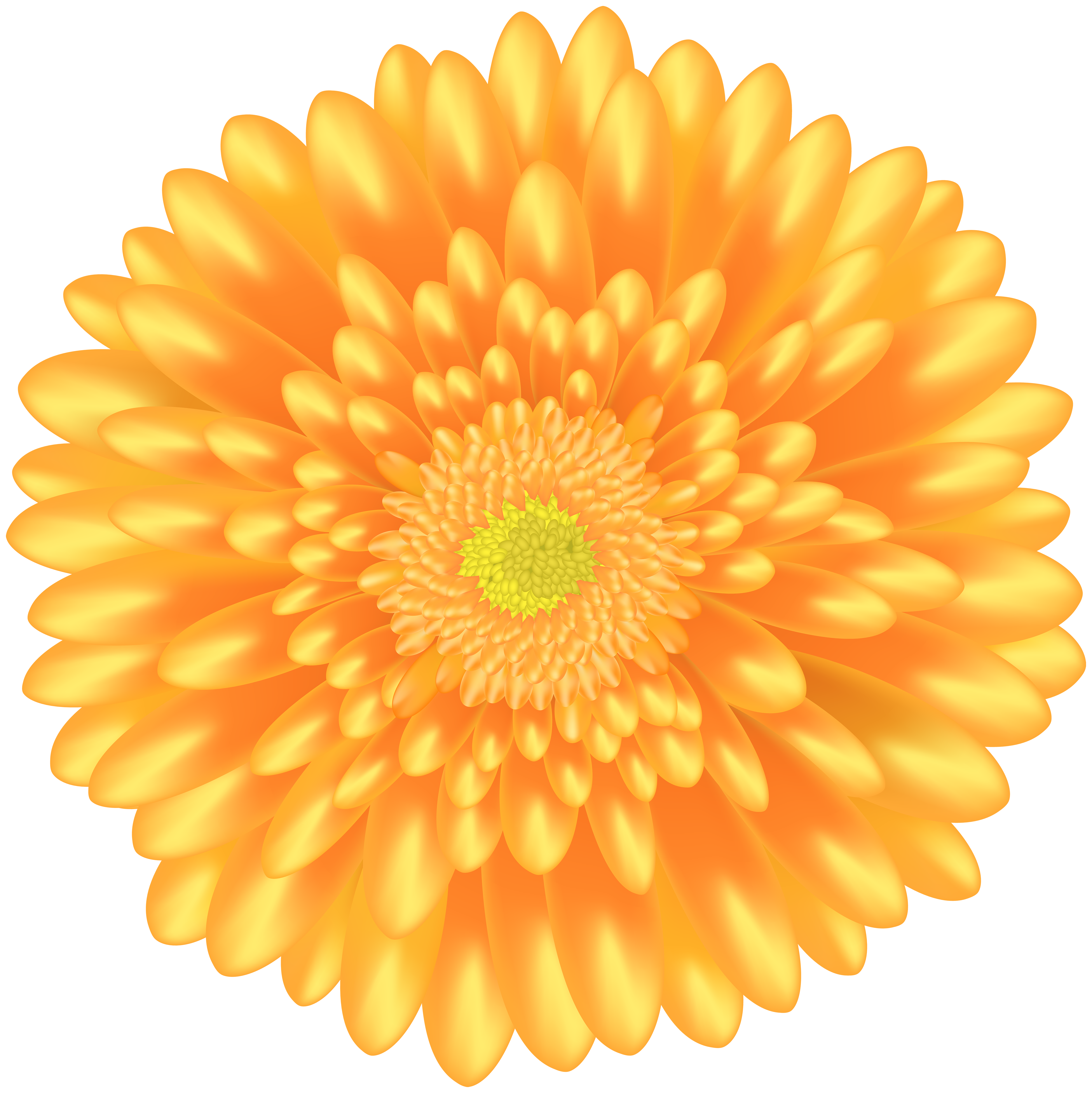 Orange Flower PNG Clip Art | Gallery Yopriceville - High-Quality Images