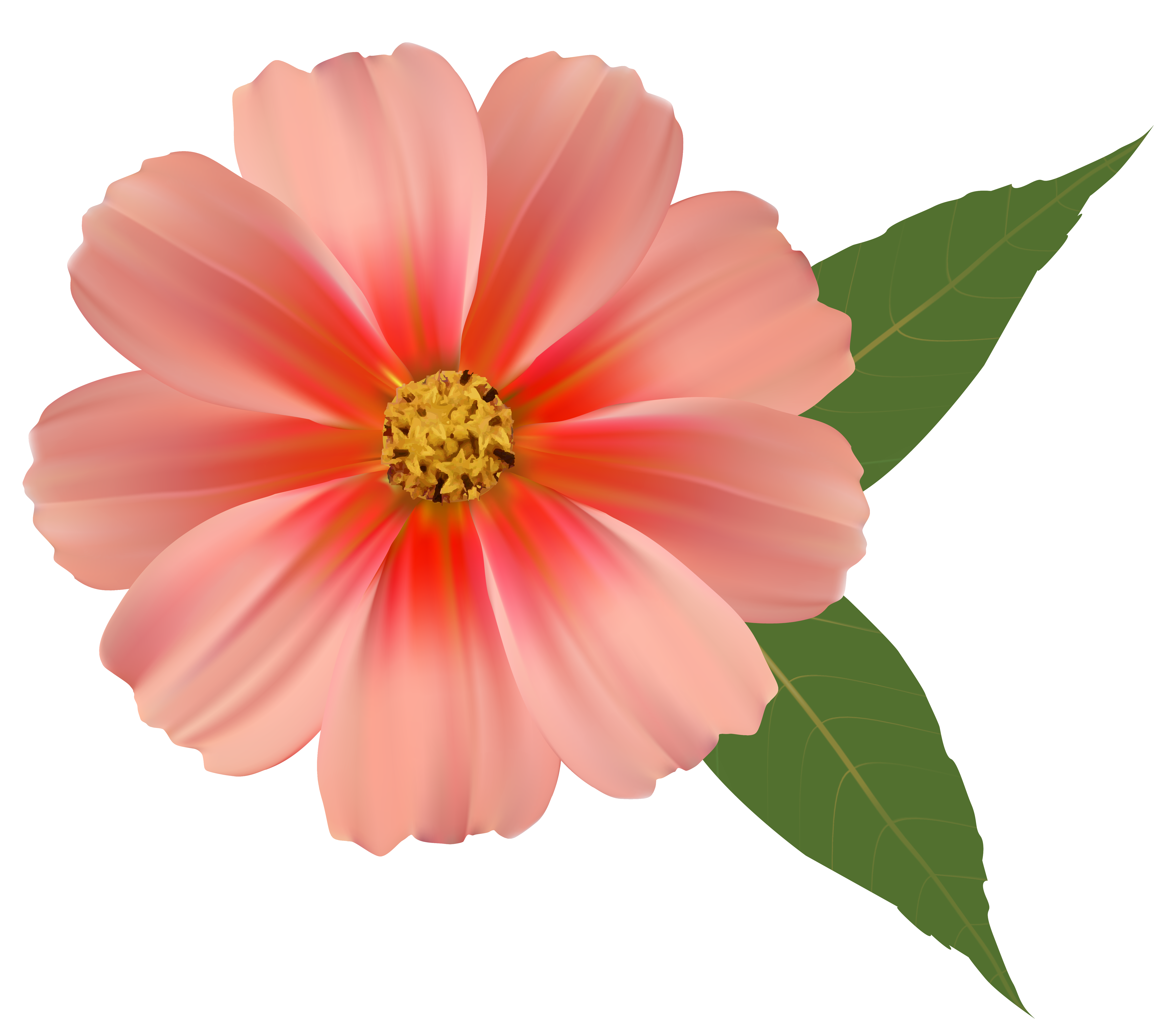 Orange Flower PNG Image Clipart | Gallery Yopriceville ...