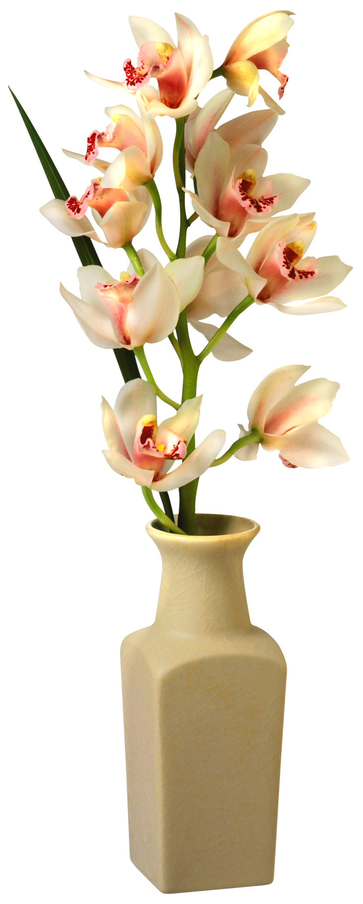 Orchid in Vase PNG Clip Art Image | Gallery Yopriceville - High-Quality