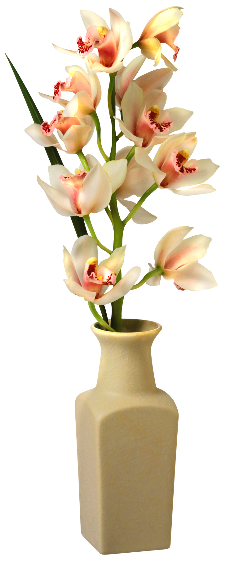 Orchid in Vase PNG Clip Art Image  Gallery Yopriceville 