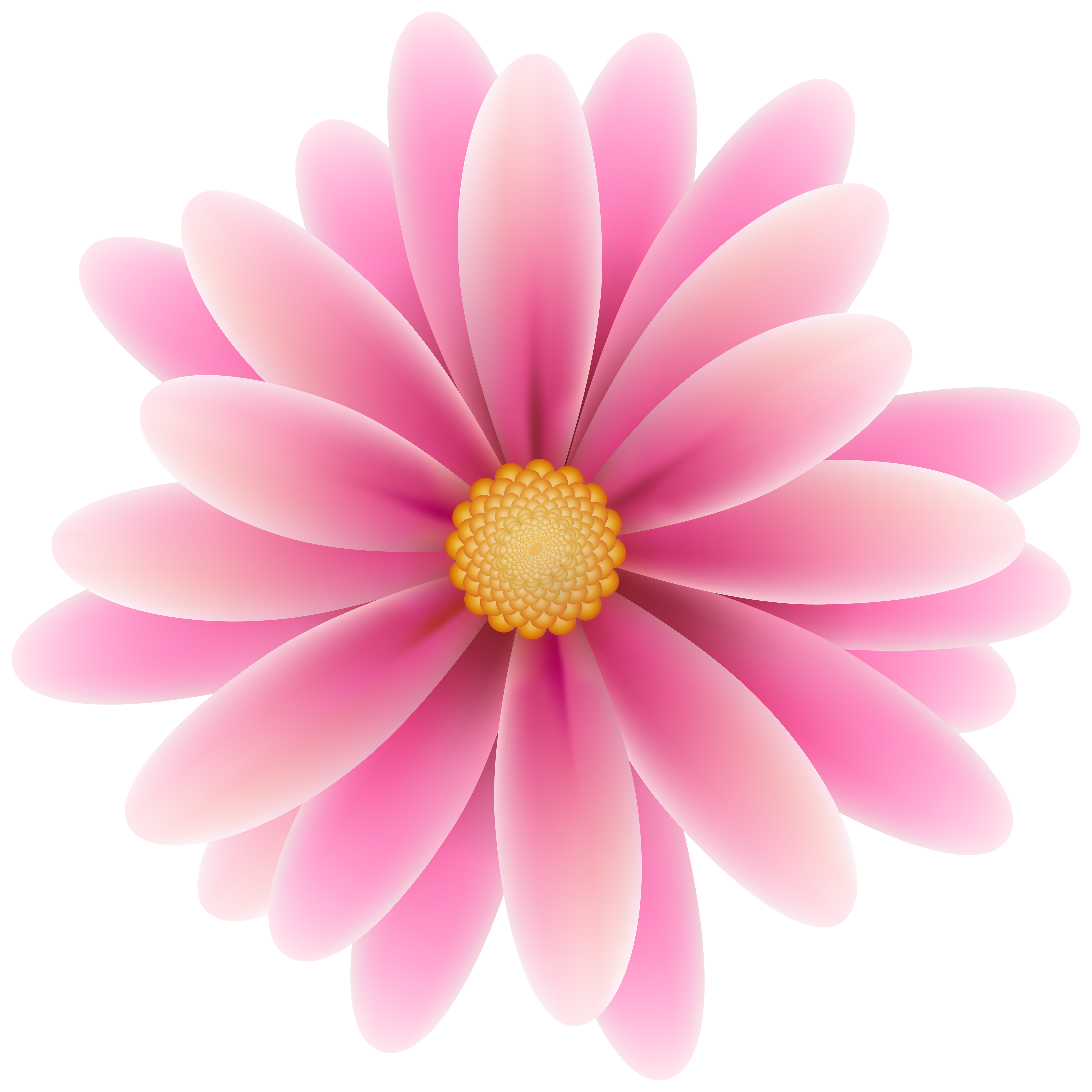pink flowers clipart