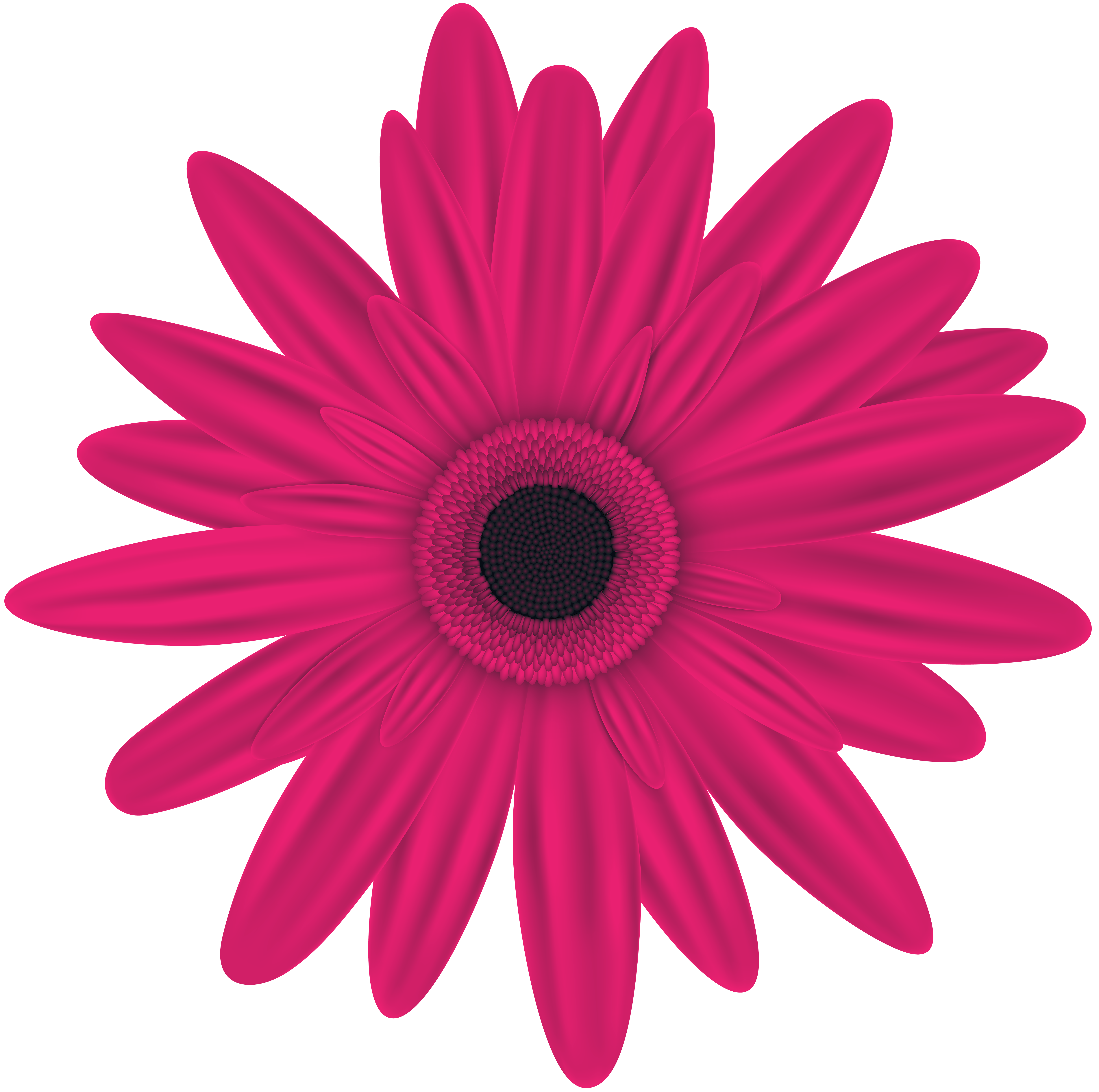 Pink Flower Clip Art PNG Image | Gallery Yopriceville - High-Quality