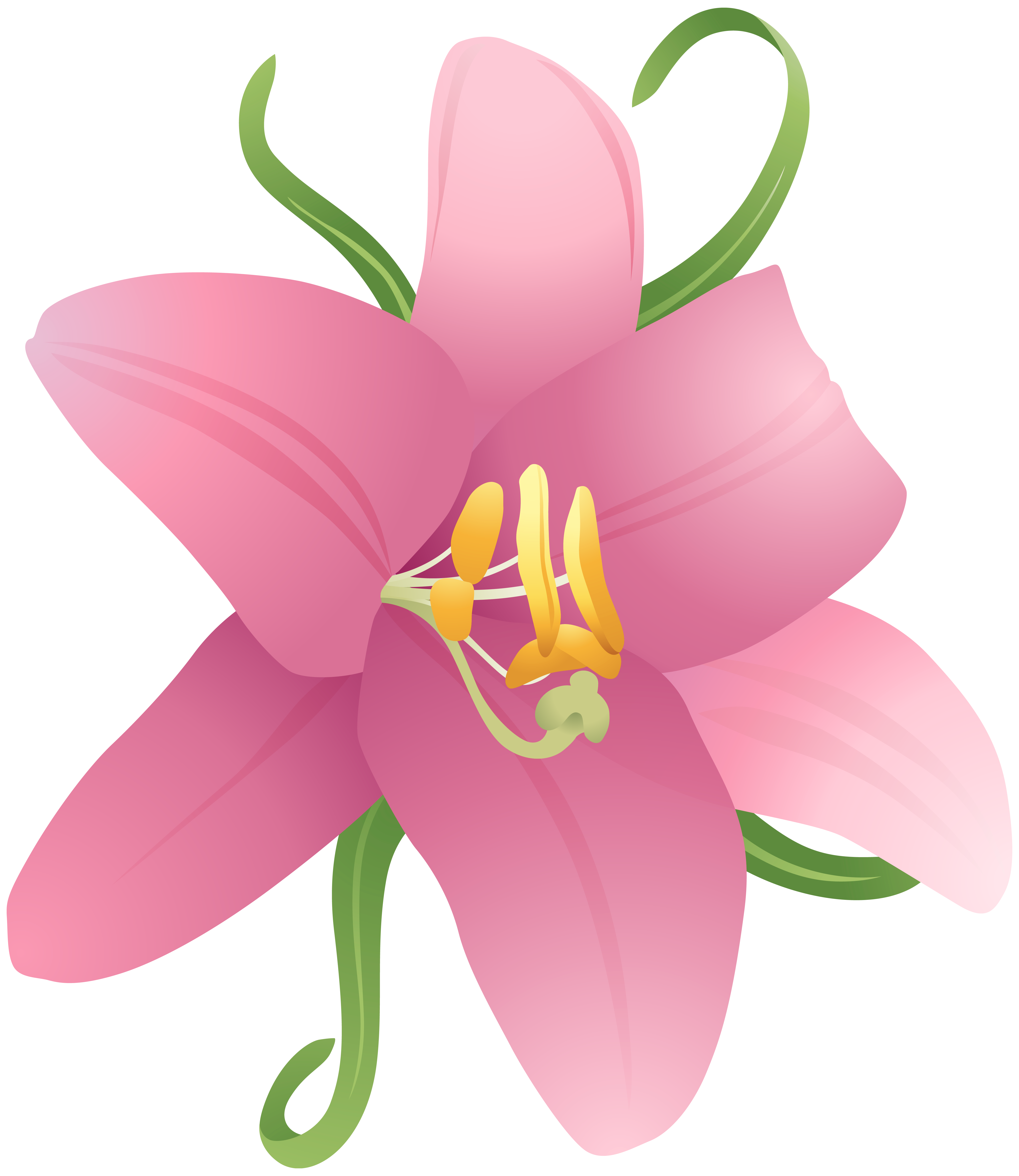 Pink Flower Clipart PNG Image Gallery Yopriceville High Quality