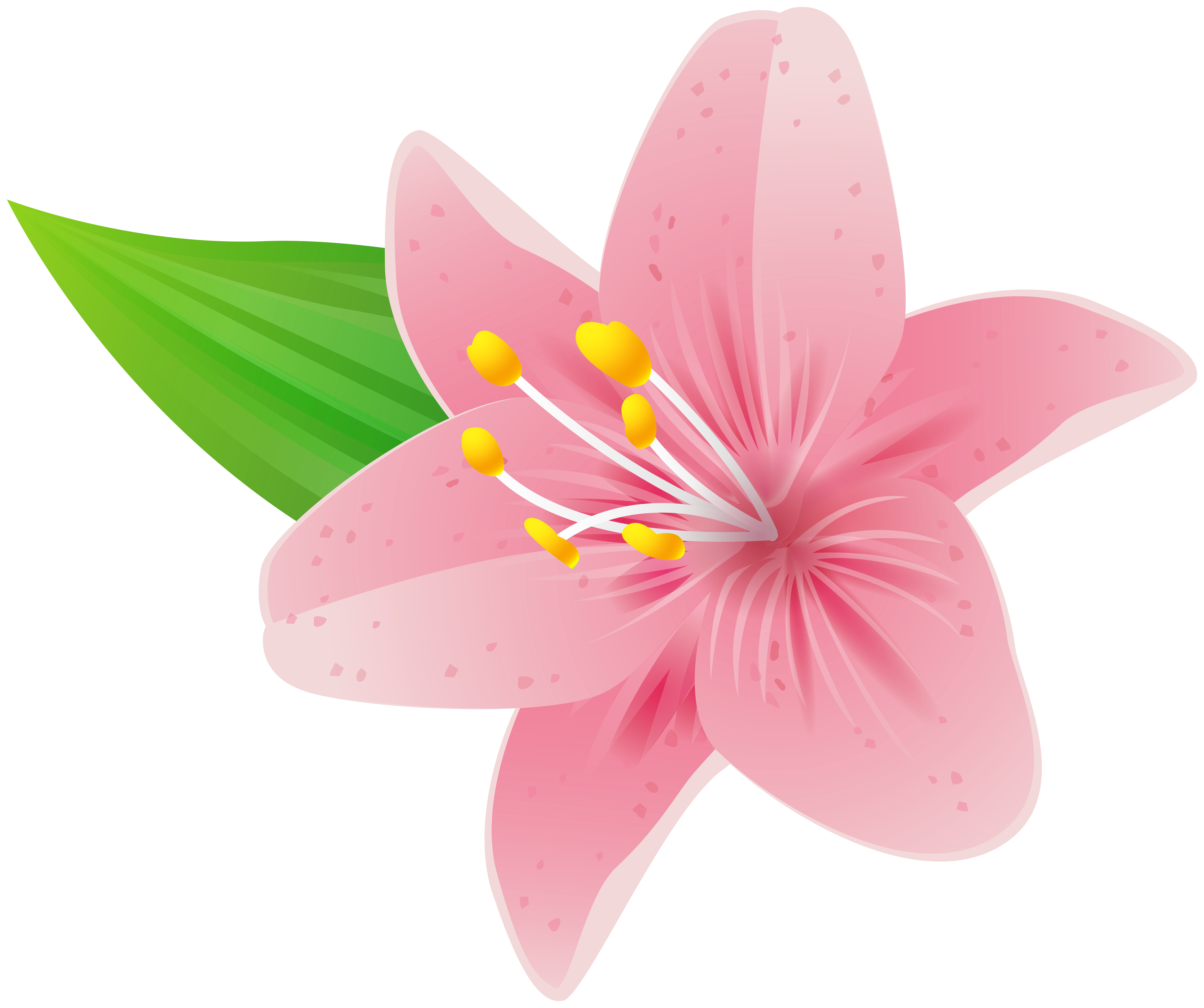 Pink Flower Png Clipart Gallery Yopriceville High Quality Images And Transparent Png Free Clipart Pink Flower Png Clipart Gallery Yopriceville High Quality Images And Transparent Png Free Clipart