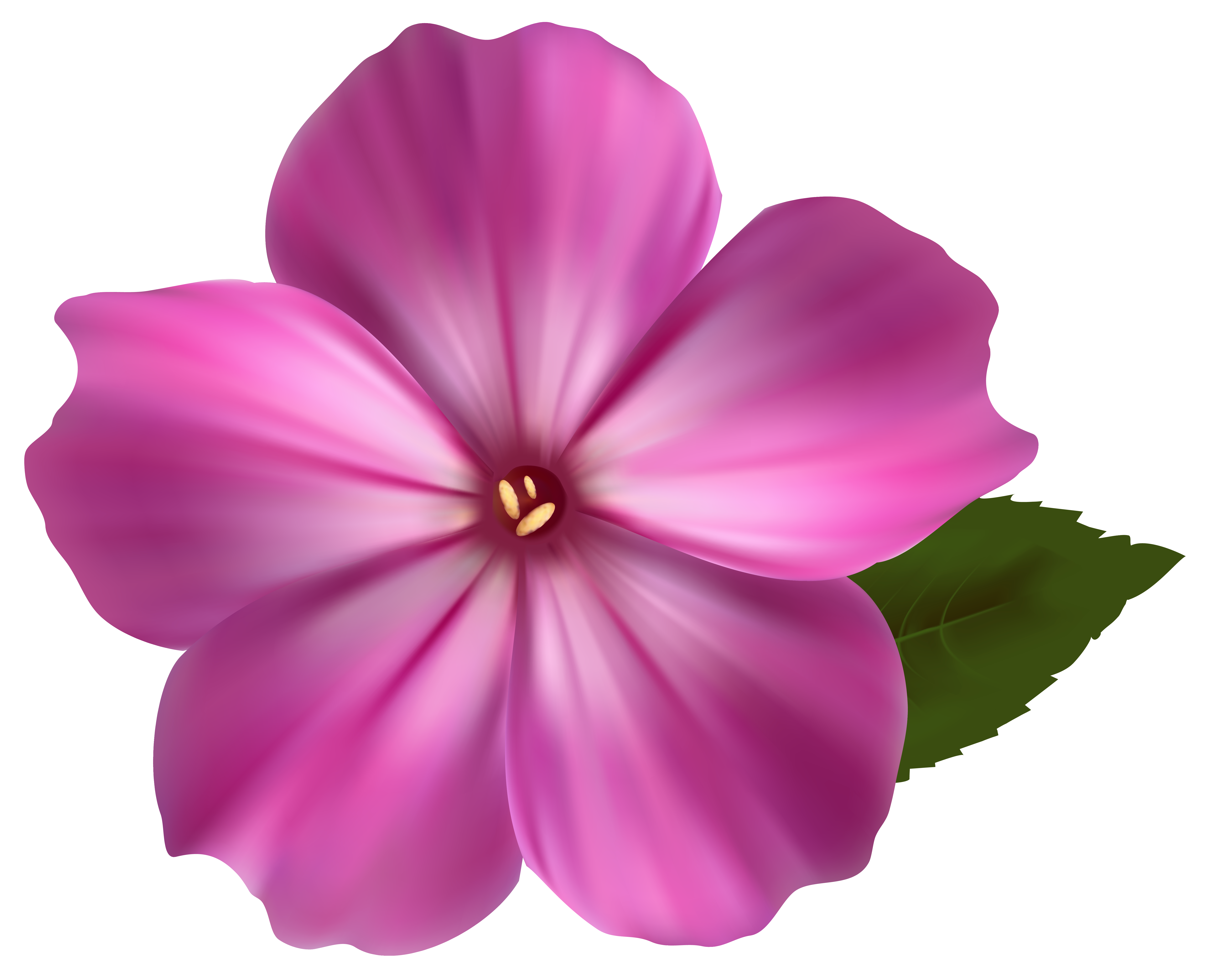Pink Flower PNG Clipart Image | Gallery Yopriceville ...