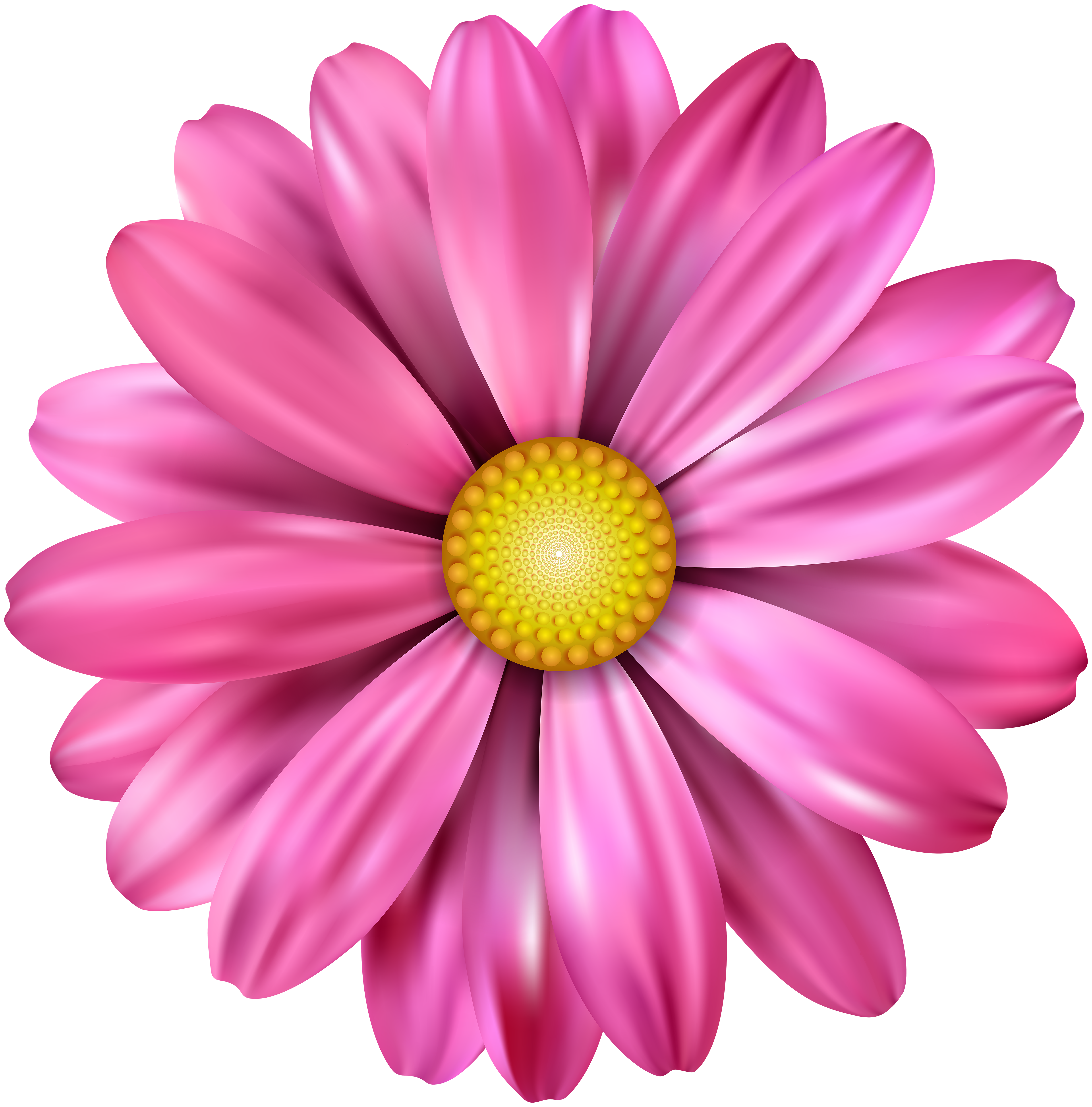 Pink Flower Transparent Image | Gallery Yopriceville - High-Quality