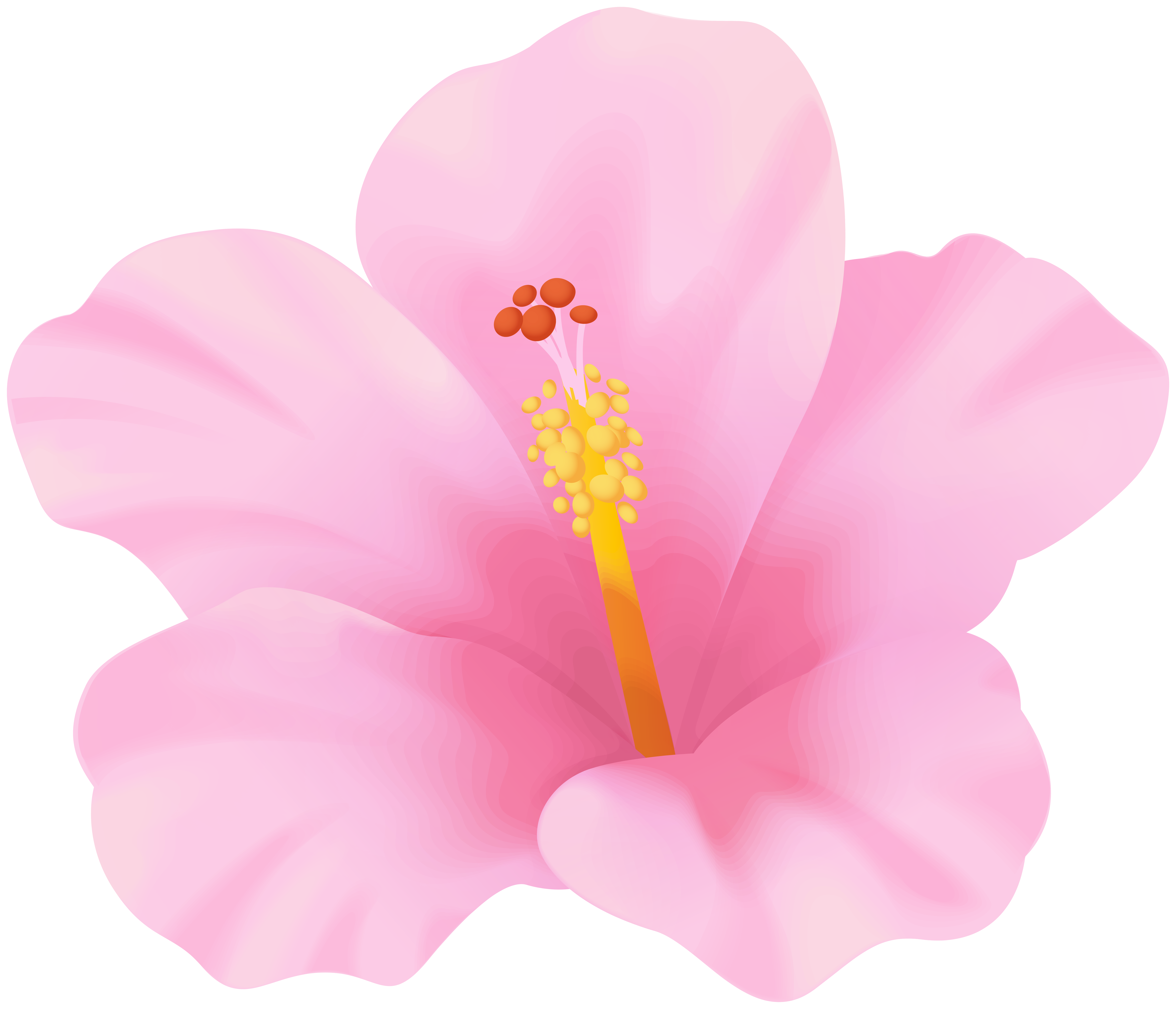 Pink Hibiscus Flower Png Clipart Gallery Yopriceville High Quality Free Images And Transparent Png Clipart Pink Hibiscus Flower Png Clipart Gallery Yopriceville High Quality Free Images And Transparent Png Clipart