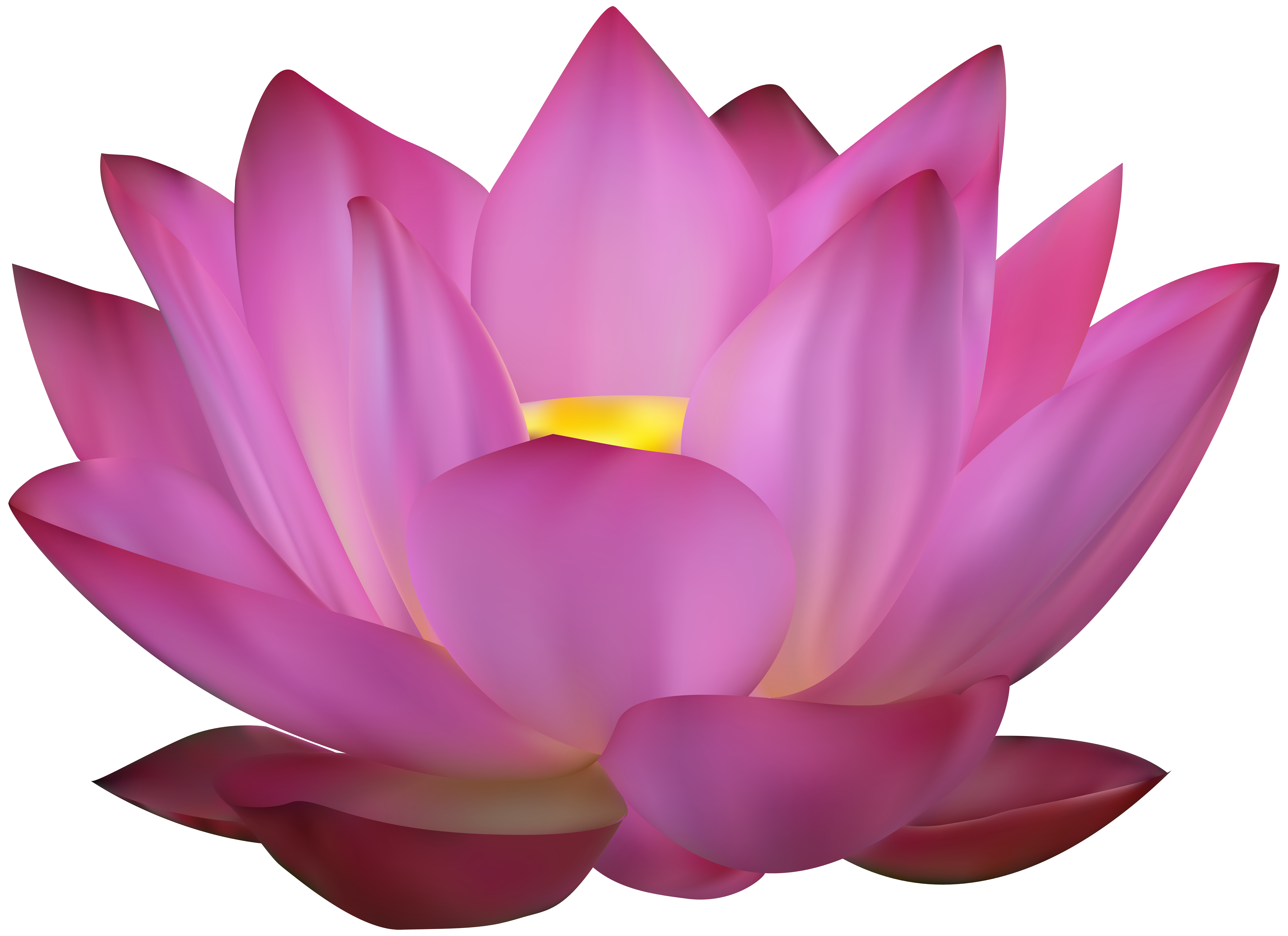 Pink Lotus Clip Art PNG Image​