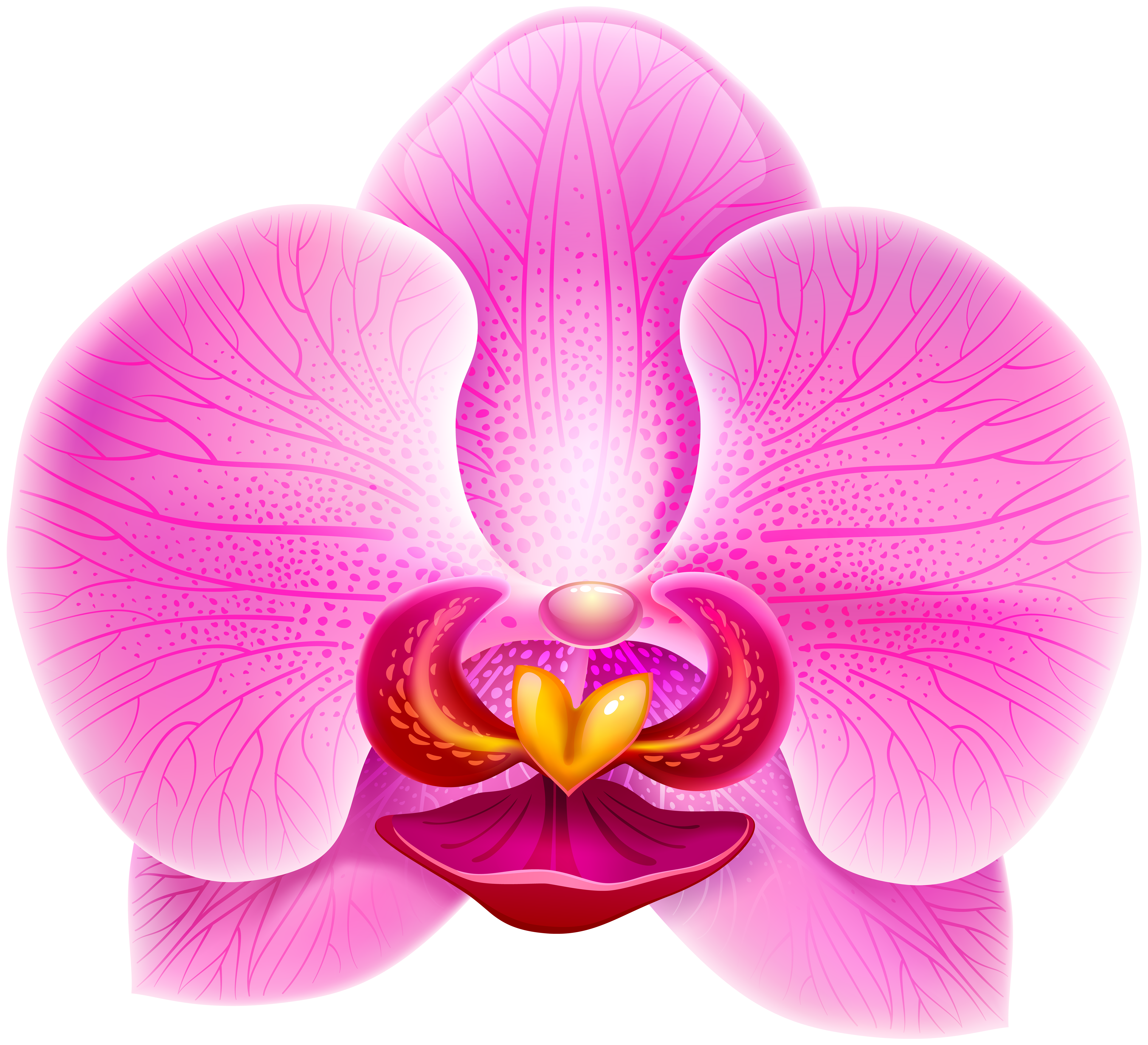 Pink Orchid PNG Clip Art Image | Gallery Yopriceville - High-Quality