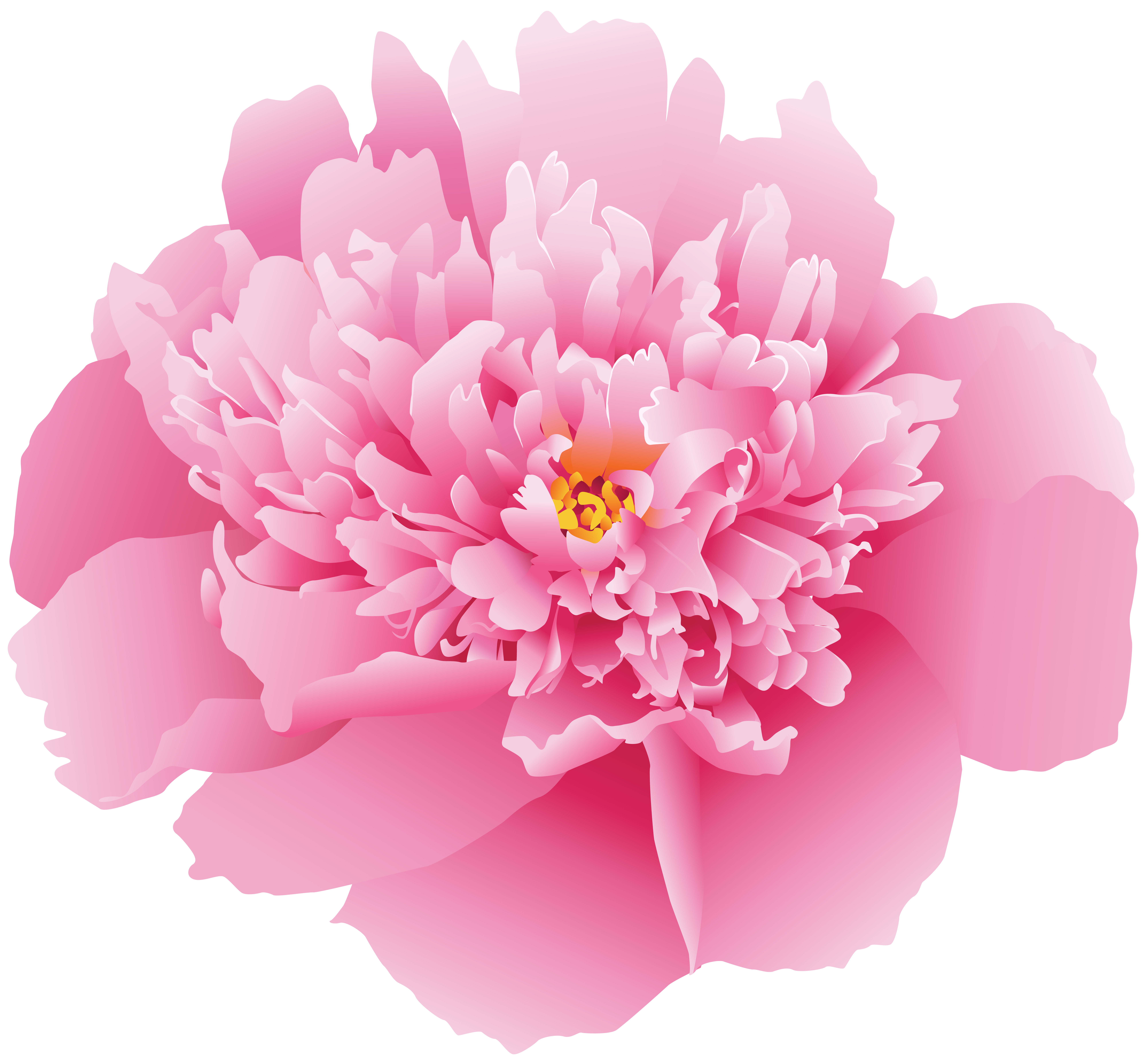 Pink Peony Flower PNG Clip Art Image​ | Gallery Yopriceville - High-Quality  Free Images and Transparent PNG Clipart