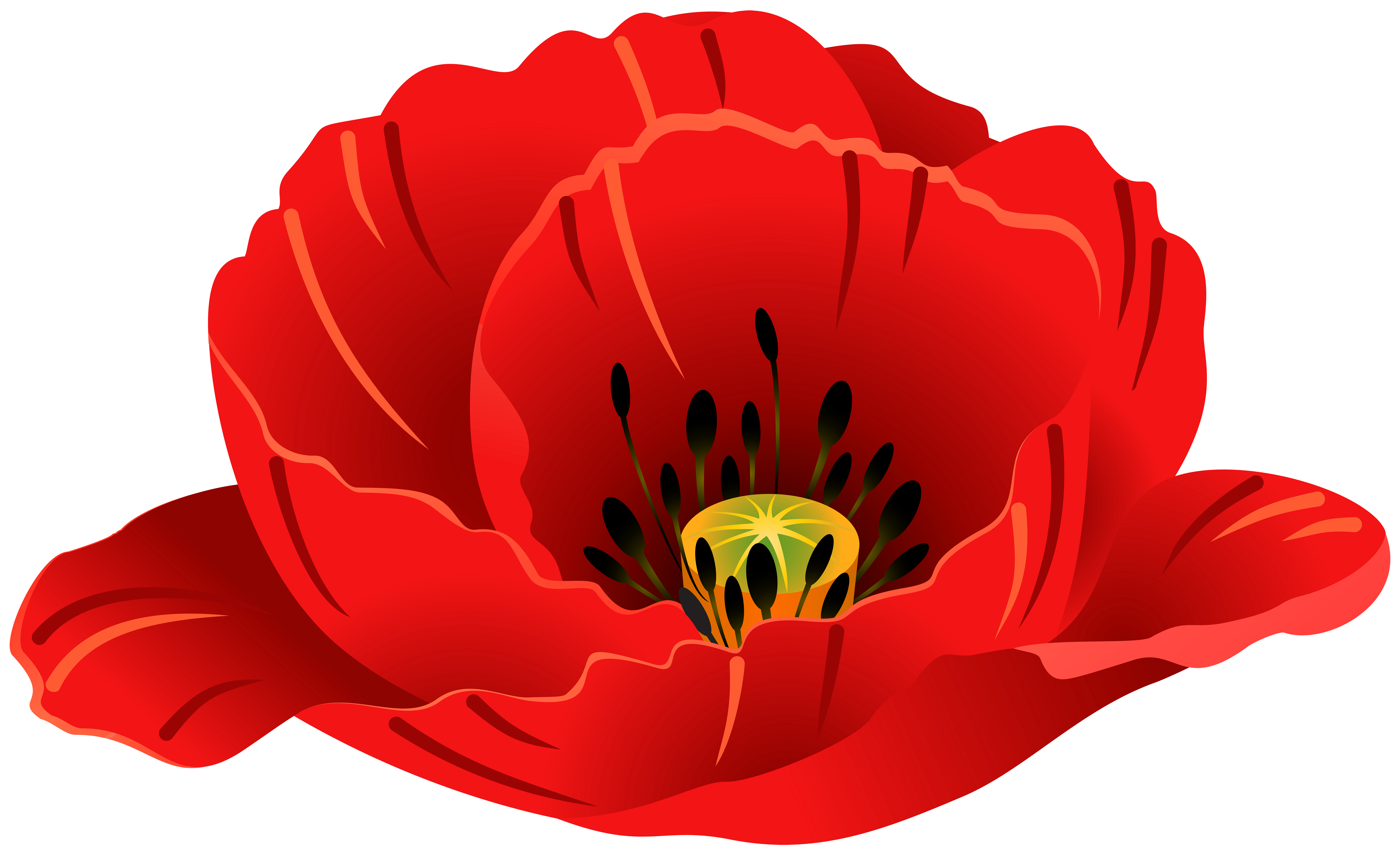 Transparent Background Poppies Png Sunflower Flower Plant Cleanpng