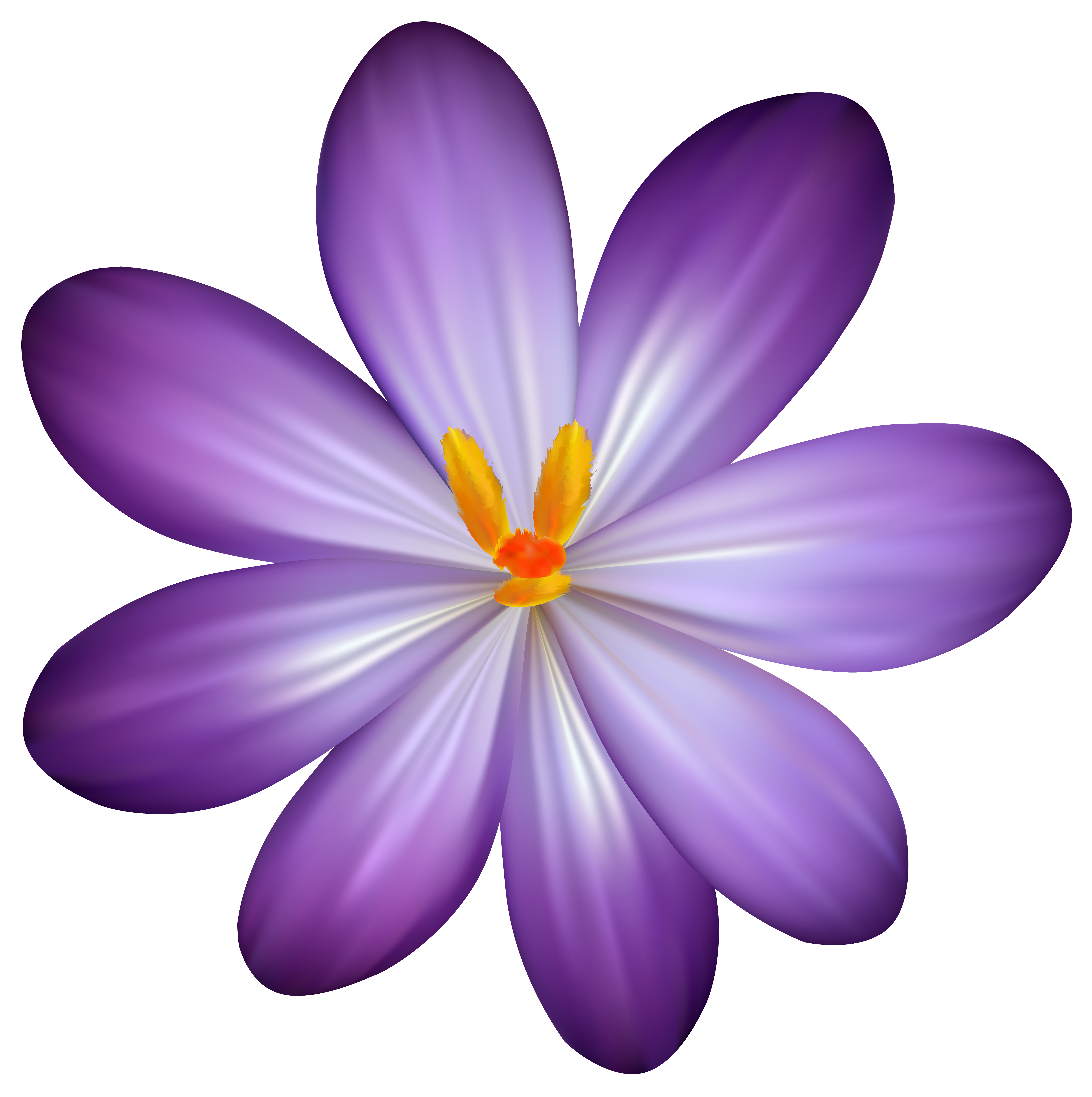 decoupage gallery art Clipart Gallery Image  Purple PNG Flower  Crocus
