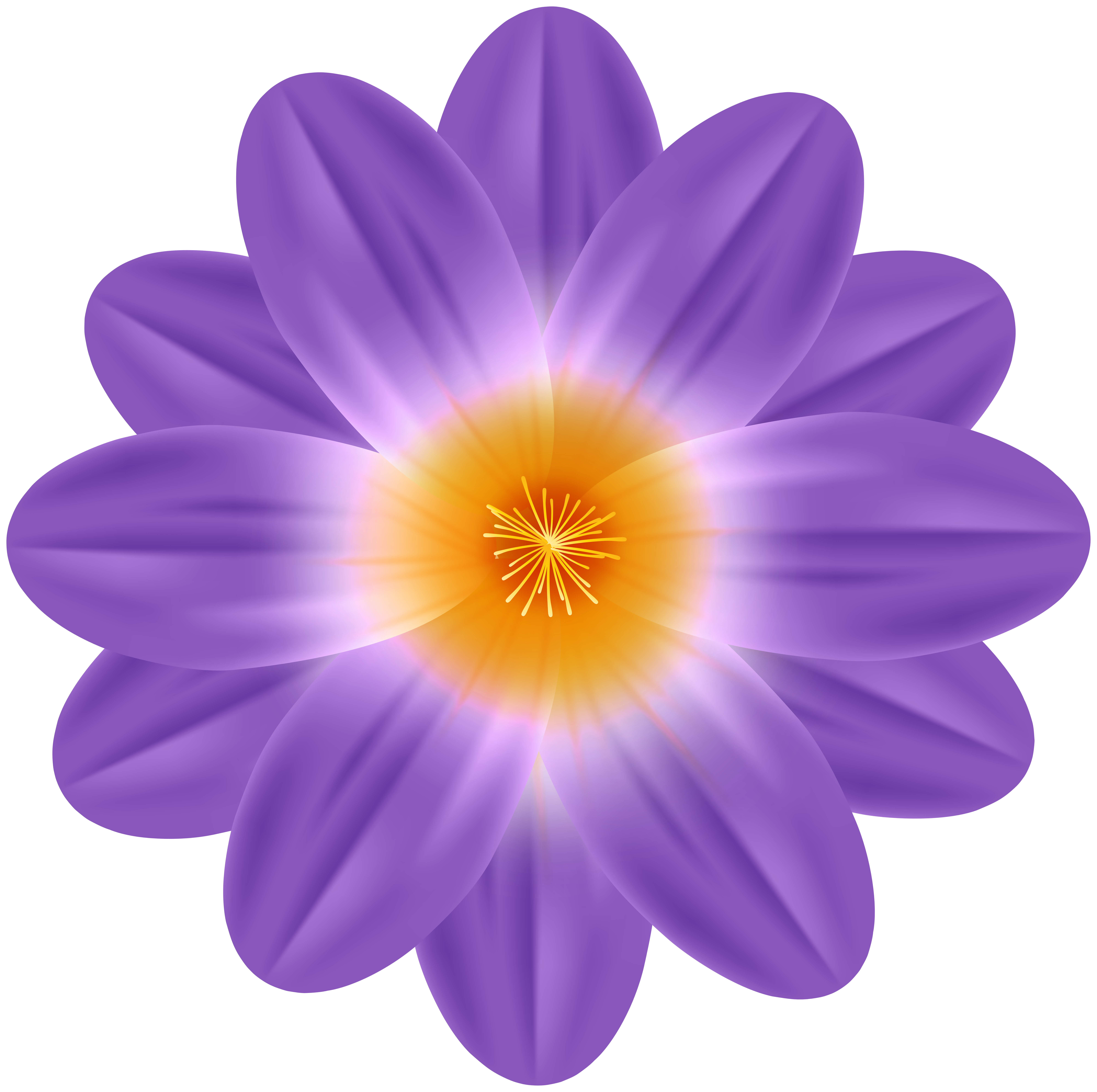 spring flower clipart png