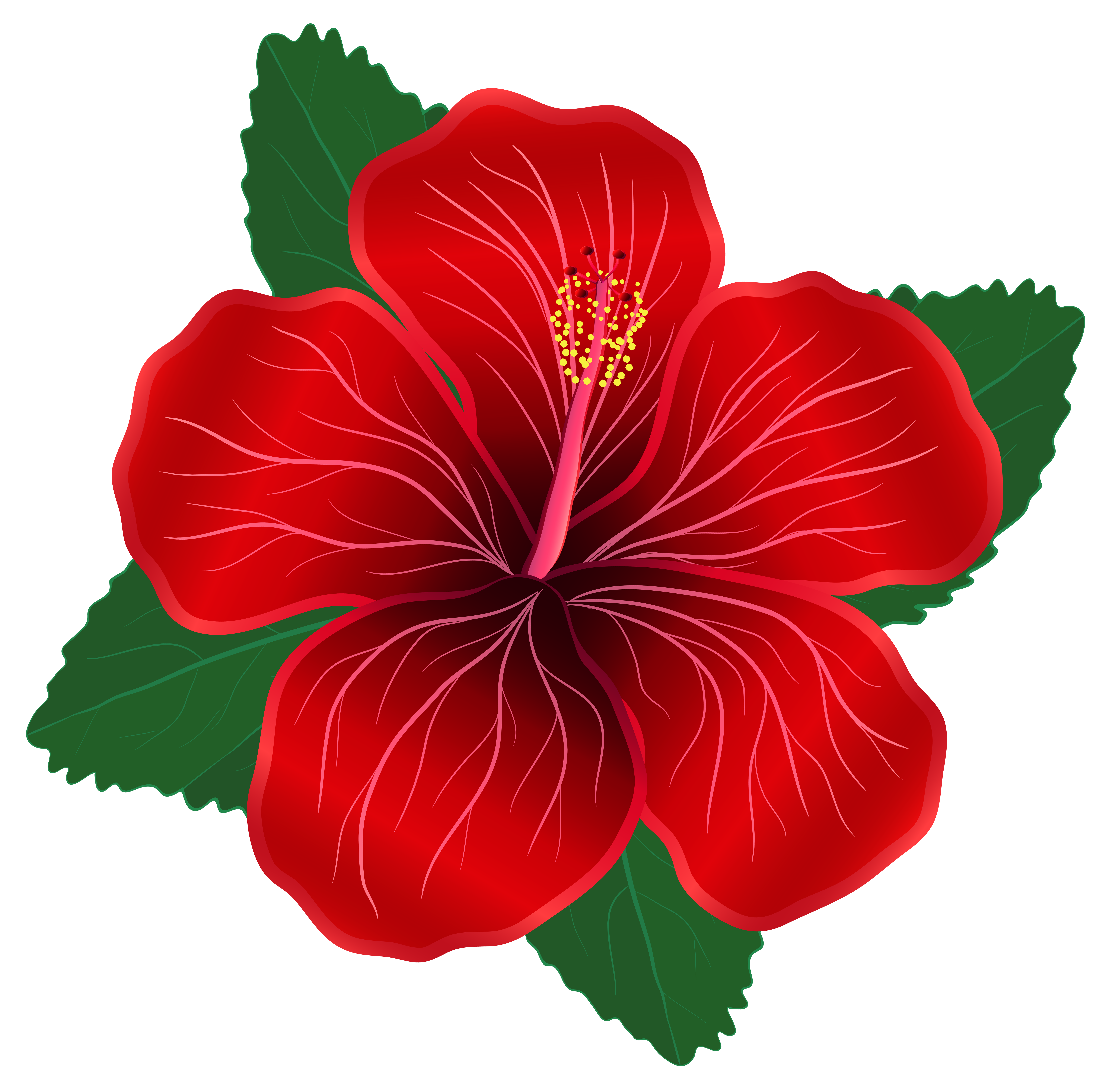 Red Flower PNG Clipart Image | Gallery Yopriceville - High-Quality