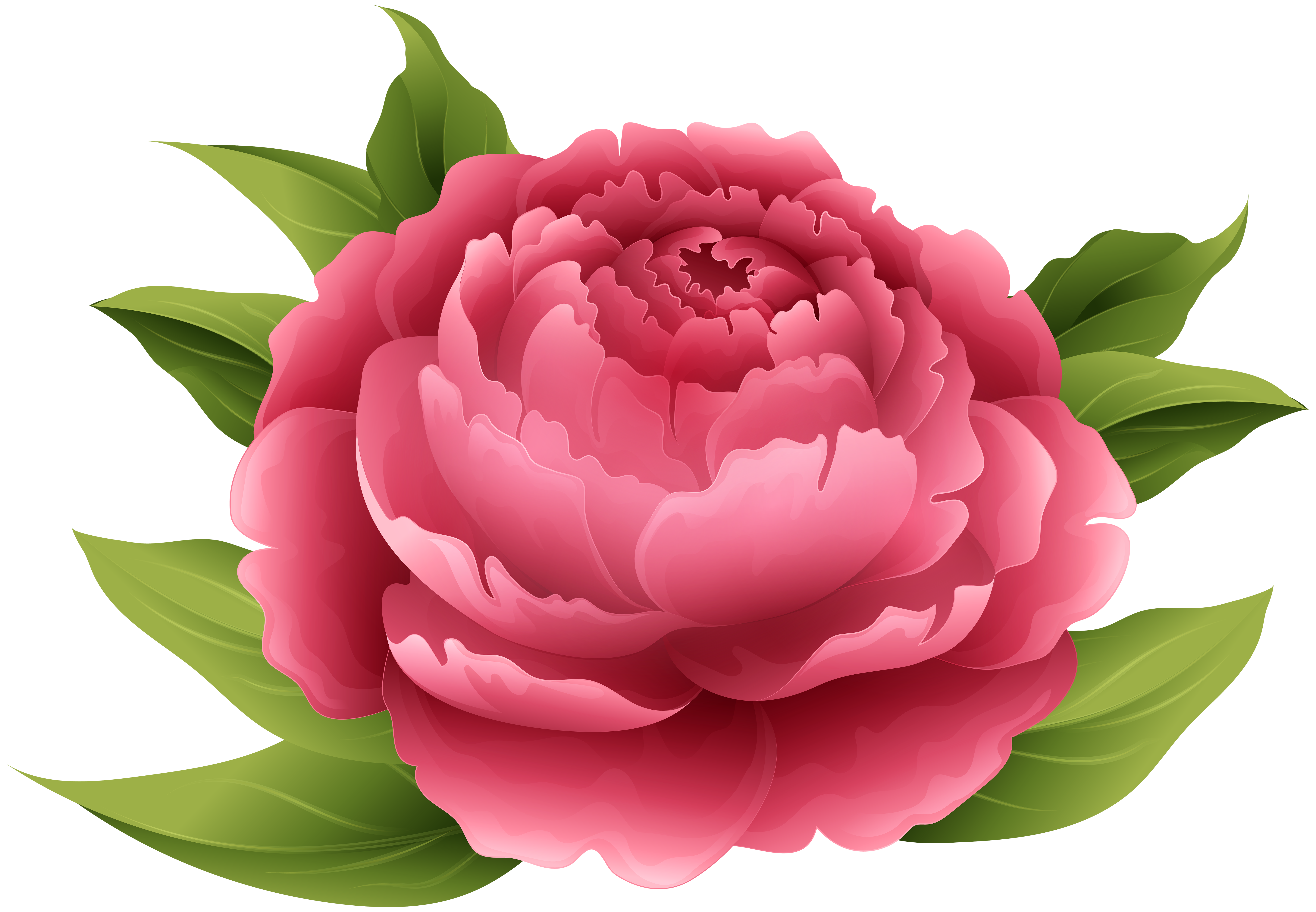 Red Peony PNG Clip Art Image​ | Gallery Yopriceville - High-Quality Free  Images and Transparent PNG Clipart