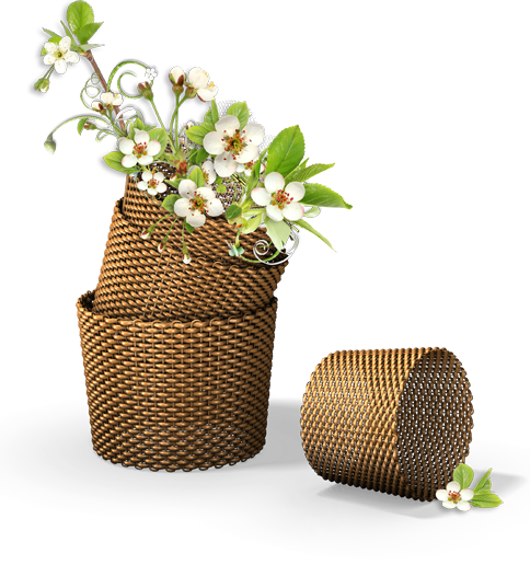 لبى الورد وانفاسه Small_Flowers_in_the لبى الورد وانفاسه Small_Flowers_in_the