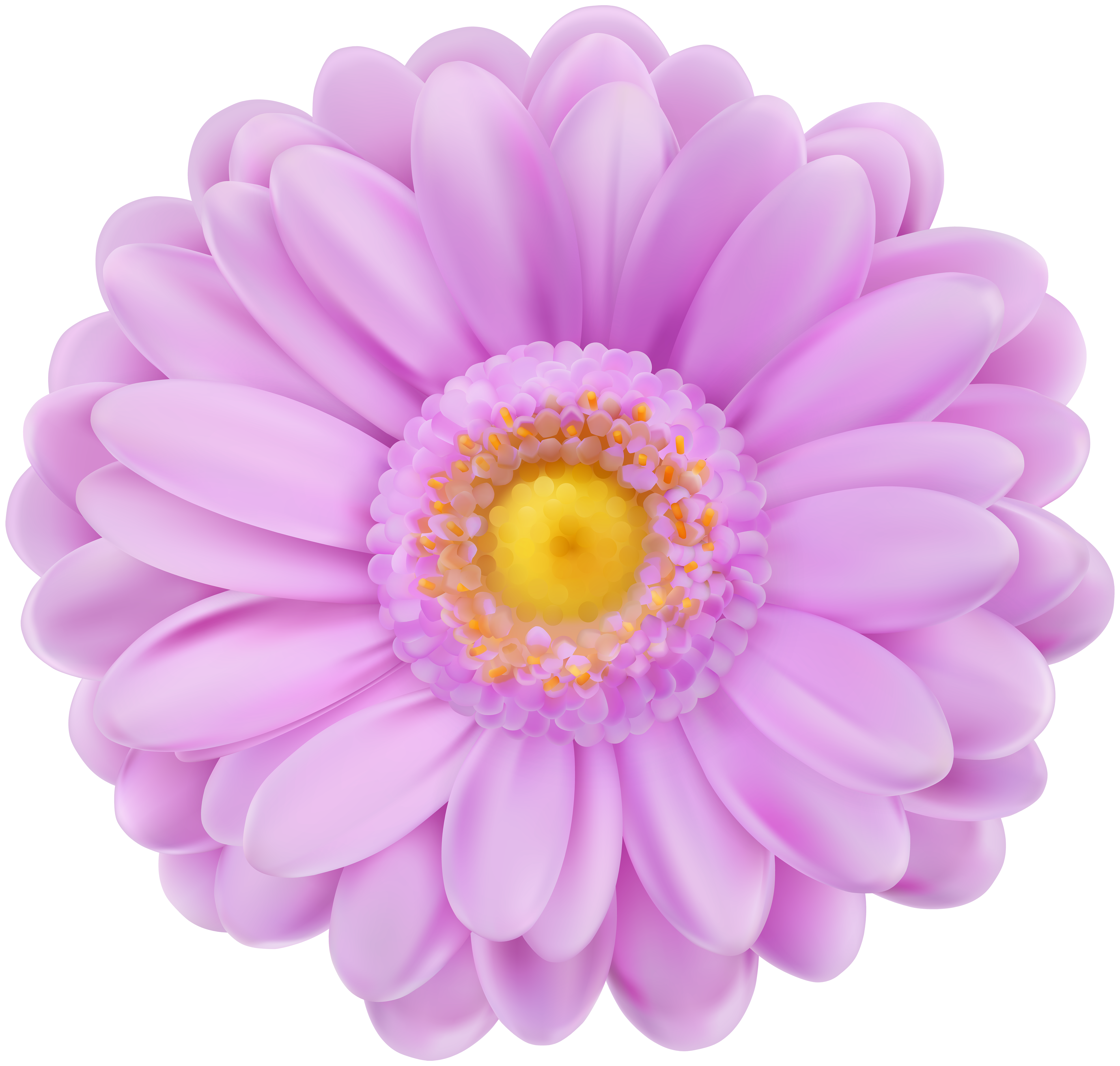 soft purple flower transparent png clip art gallery paper flower png