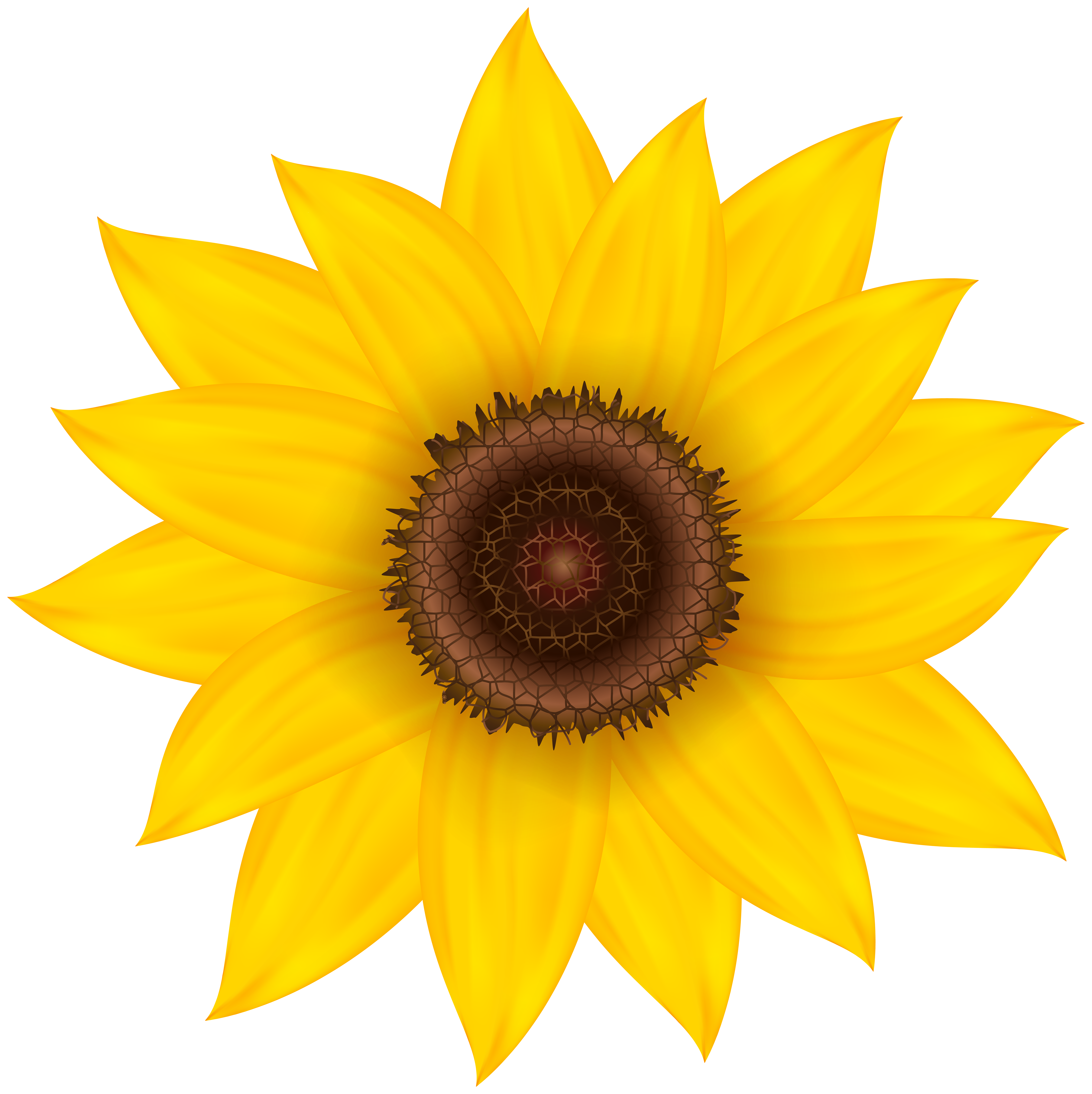 Sunflower Deco PNG Clip Art Image | Gallery Yopriceville ...