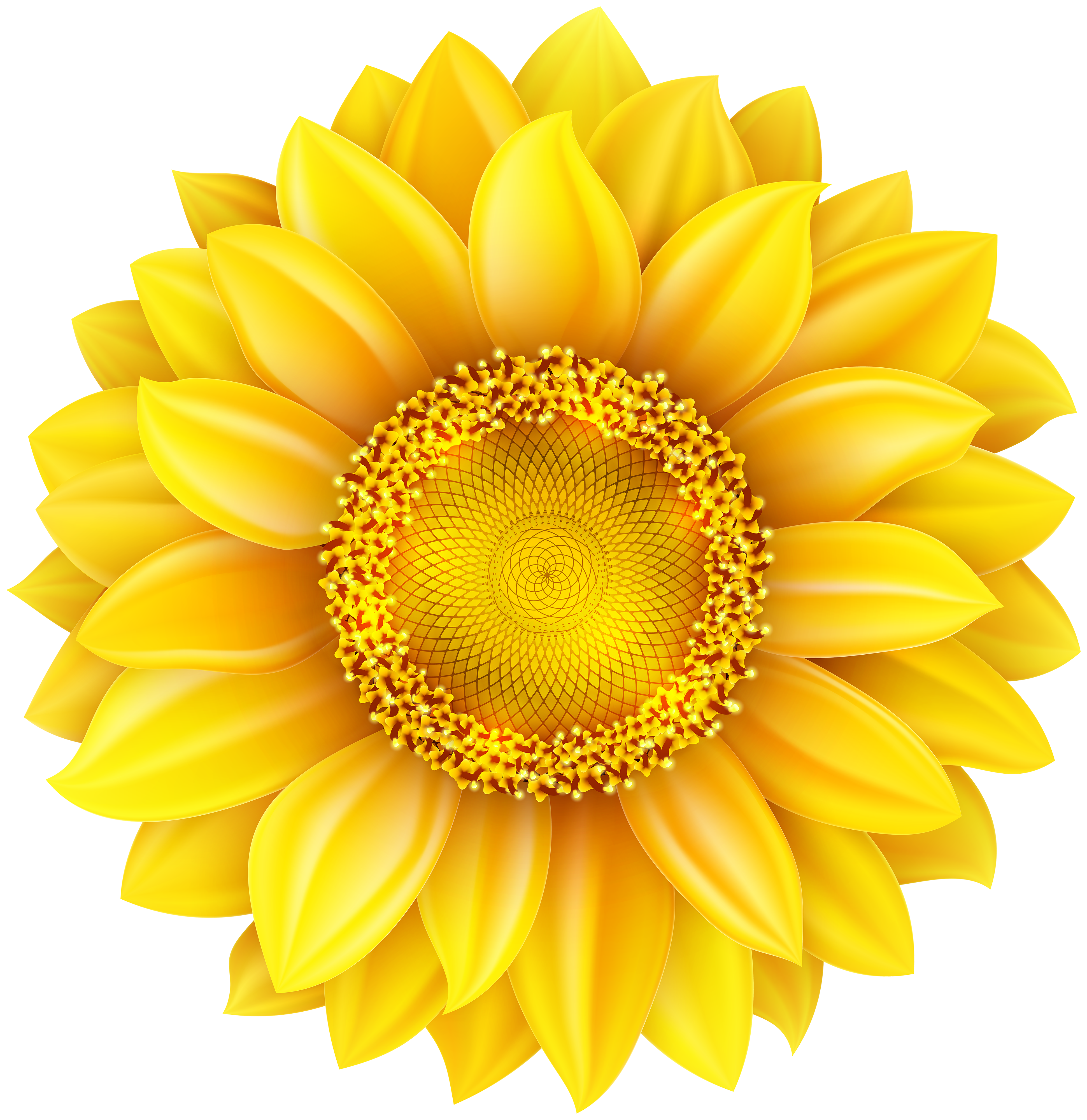 Sunflower PNG Clip Art Image | Gallery Yopriceville - High ...