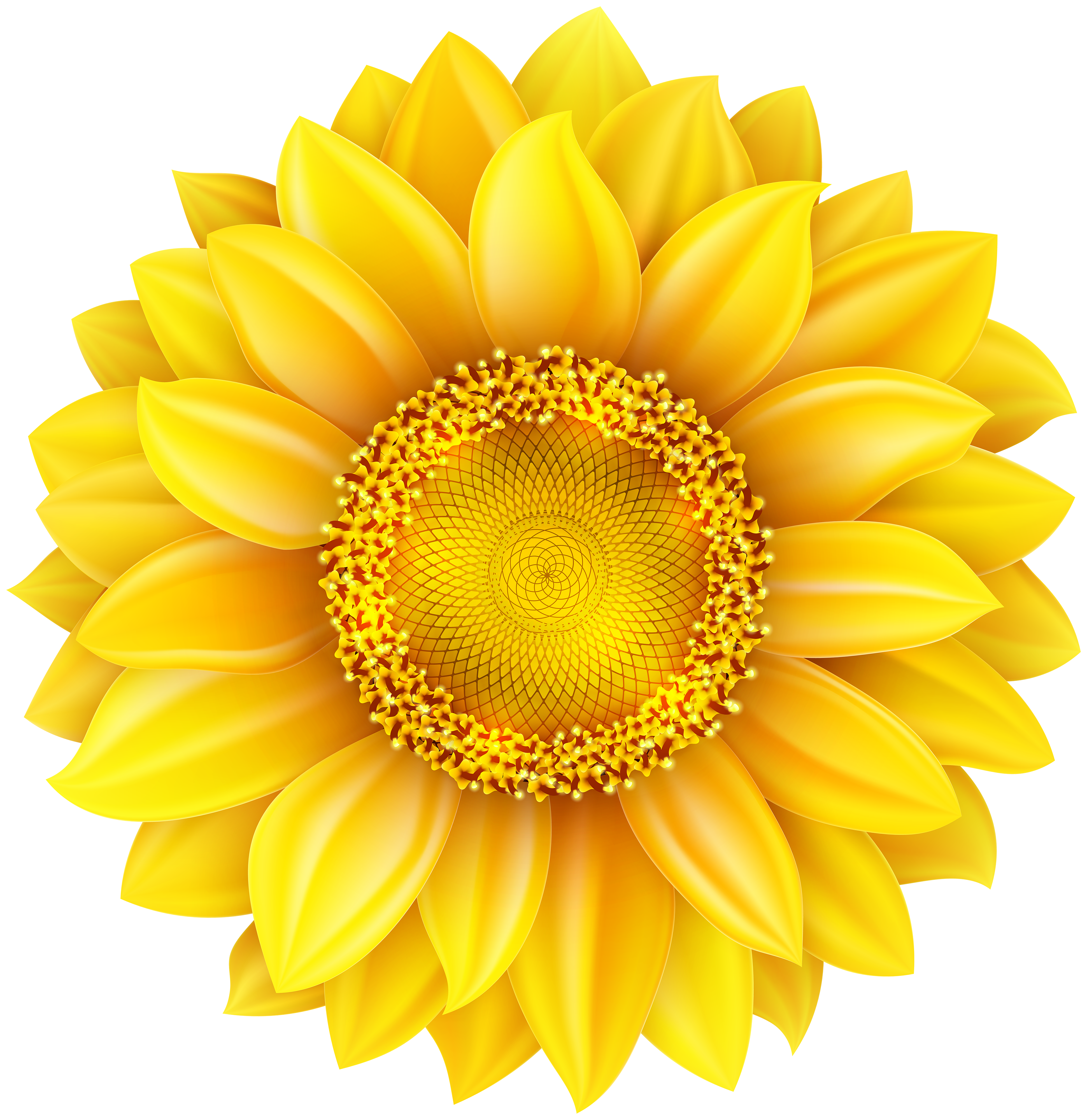 Free Free 311 Clipart Sunflower Png SVG PNG EPS DXF File