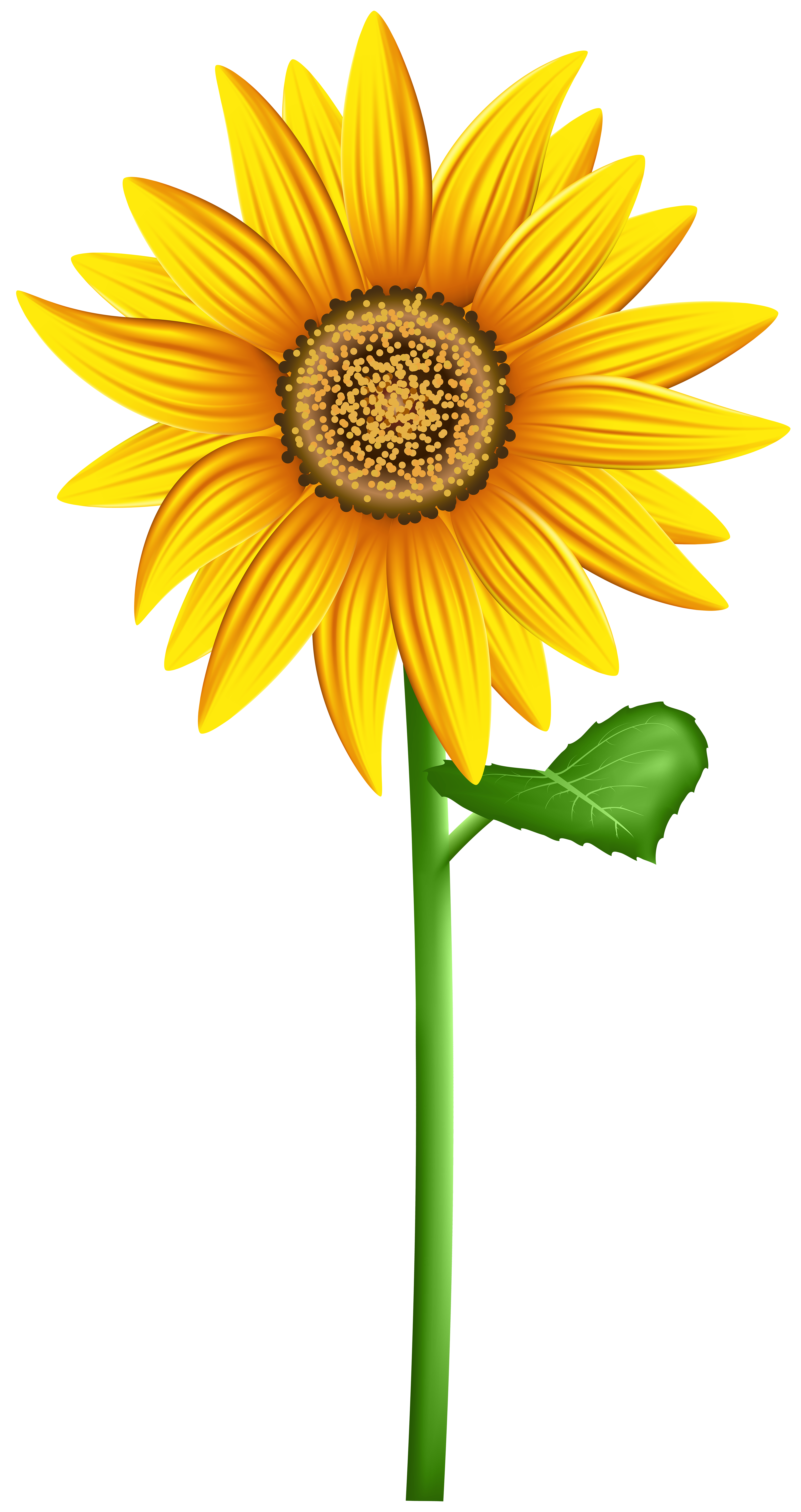 Sunflower Png Transparent Clip Art Image Gallery Yopriceville