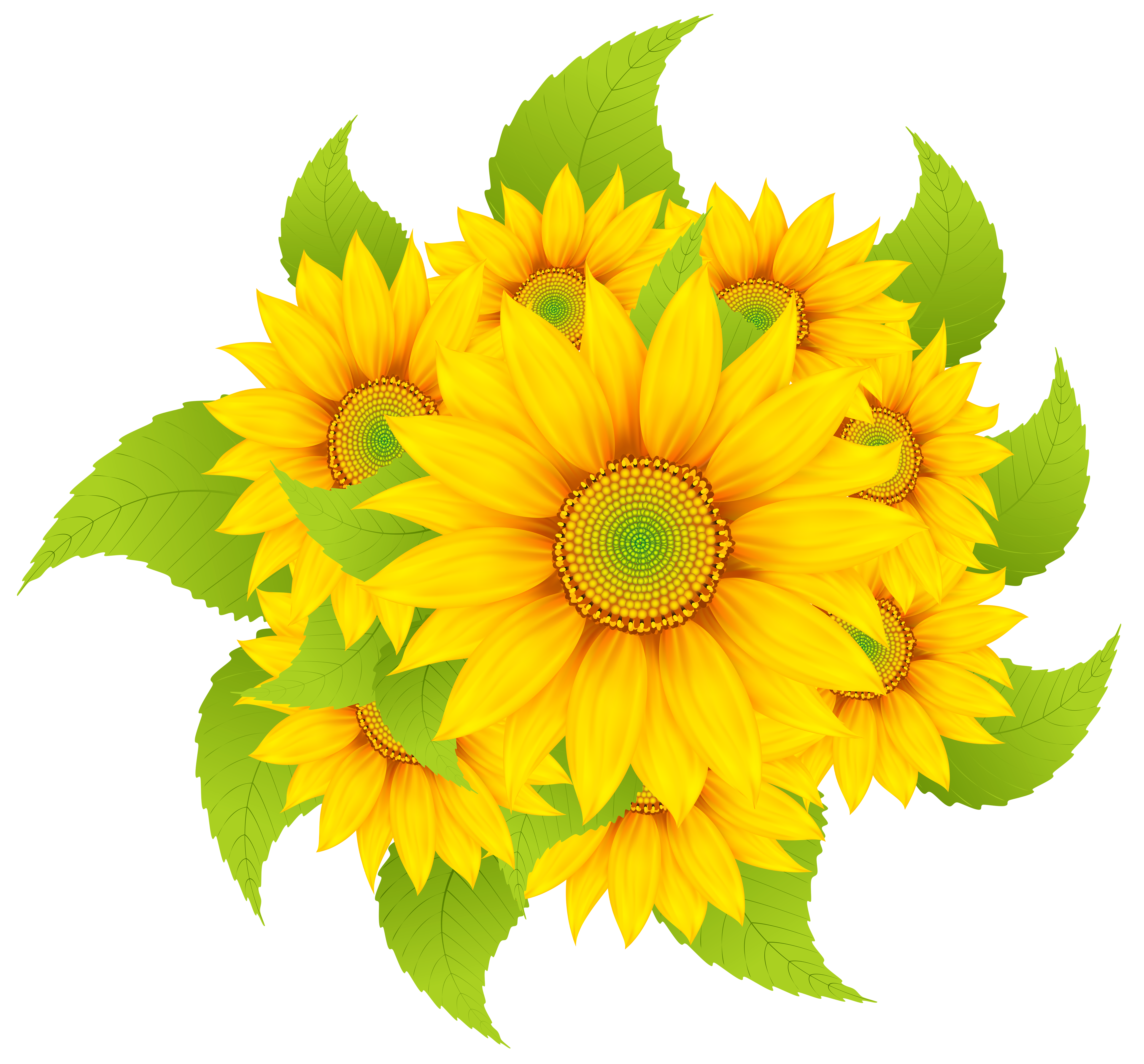 Sunflowers Decoration Clipart Png Image Gallery Yopriceville High