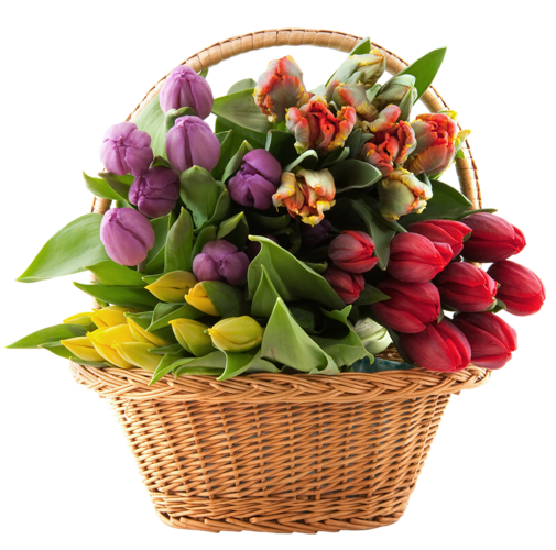 لبى الورد وانفاسه Transparent_Basket_w لبى الورد وانفاسه Transparent_Basket_w