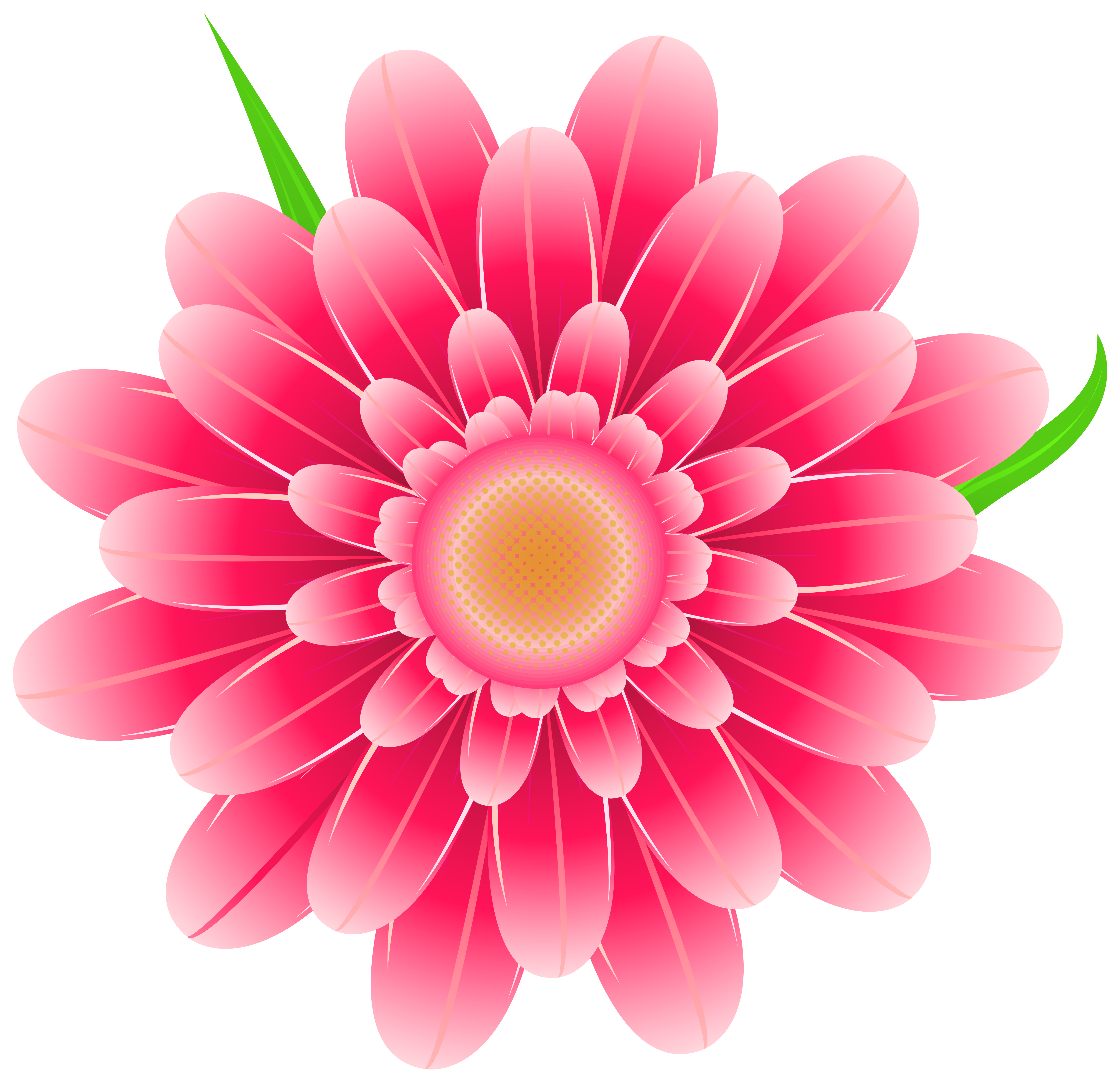 Pink Flower Cartoon png download - 2400*2400 - Free Transparent