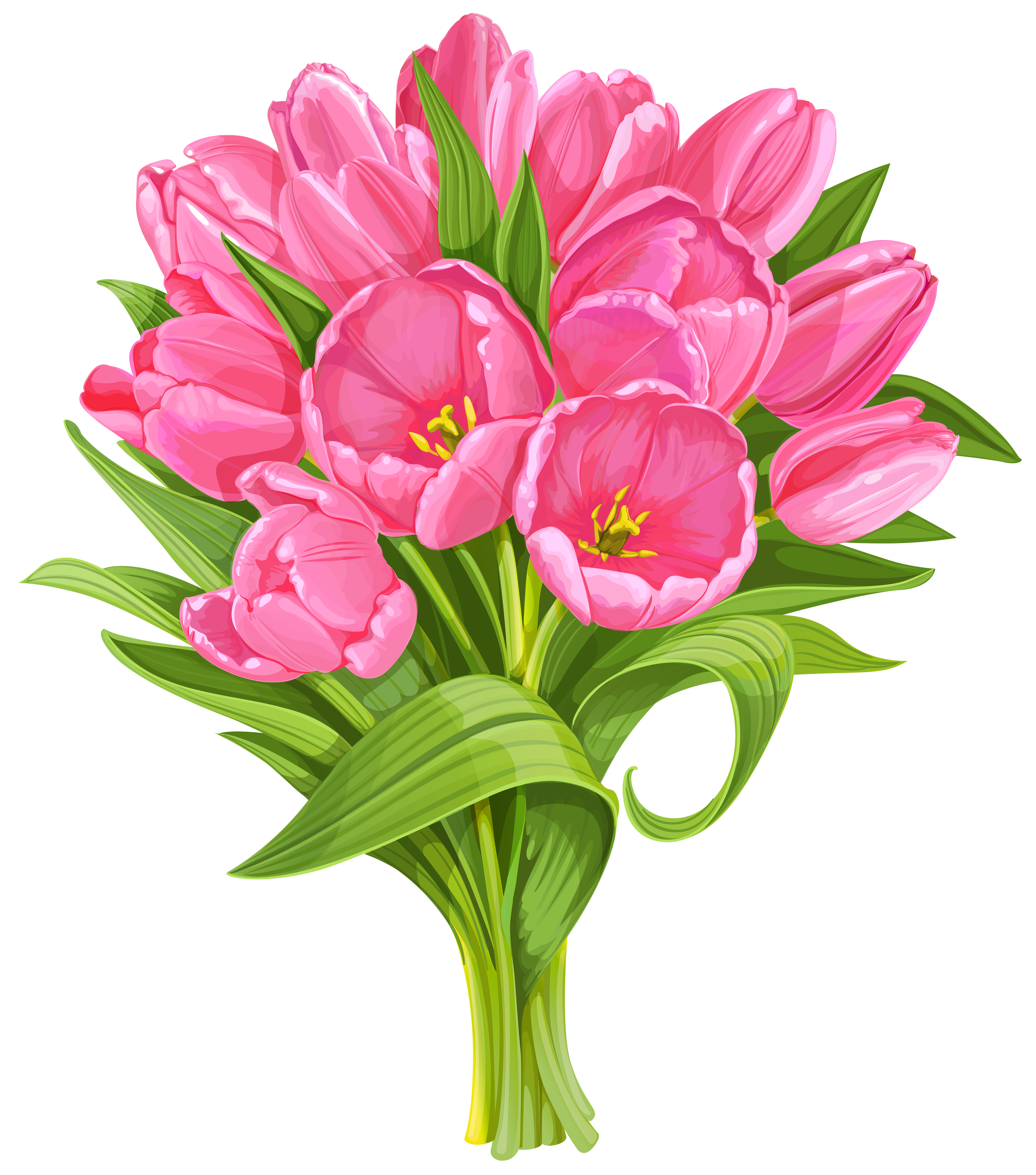 Tulips Bouquet Transparent PNG Clip Art | Gallery Yopriceville - High