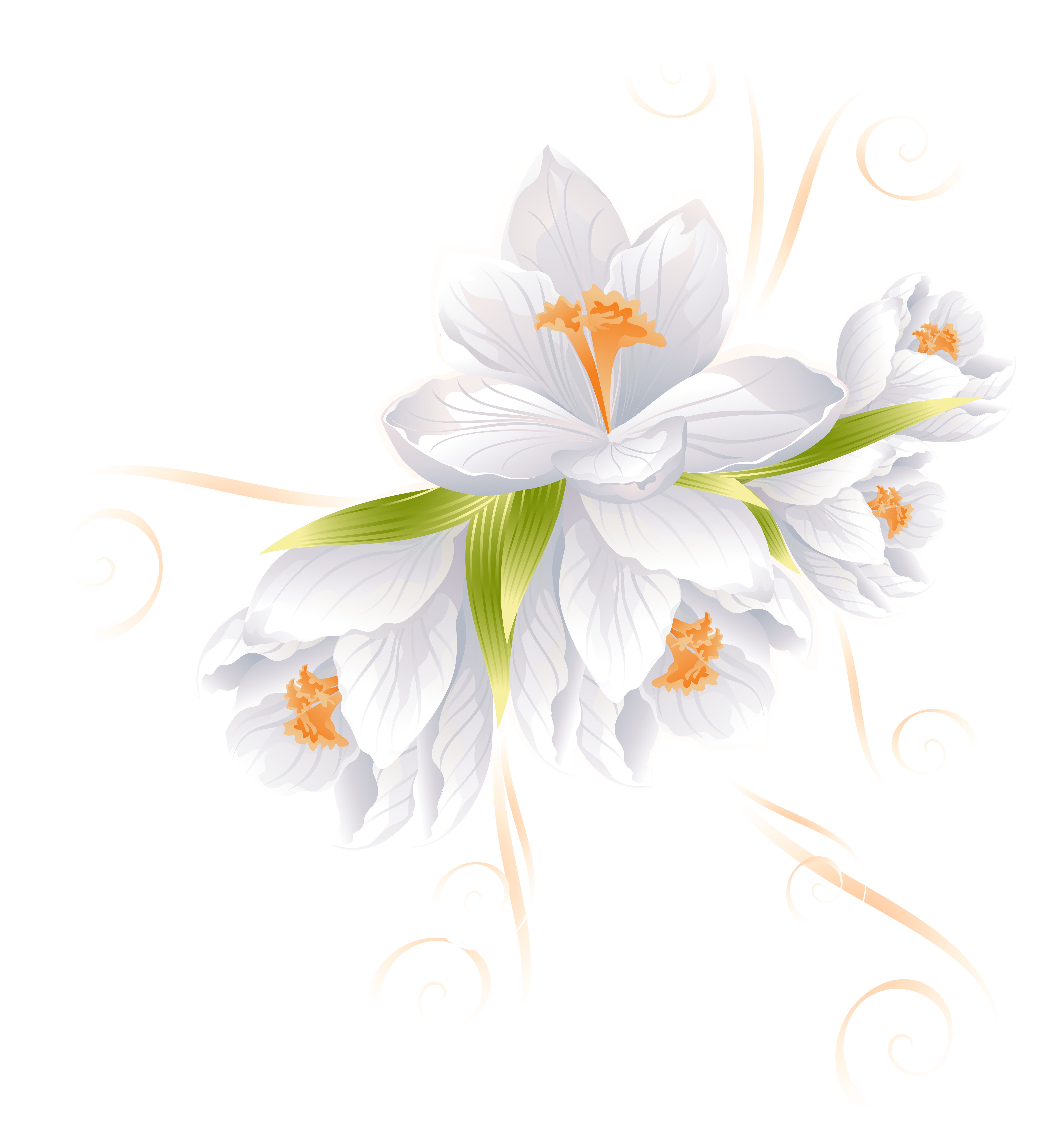 White Flower Decor Transparent PNG Clip Art Image ...