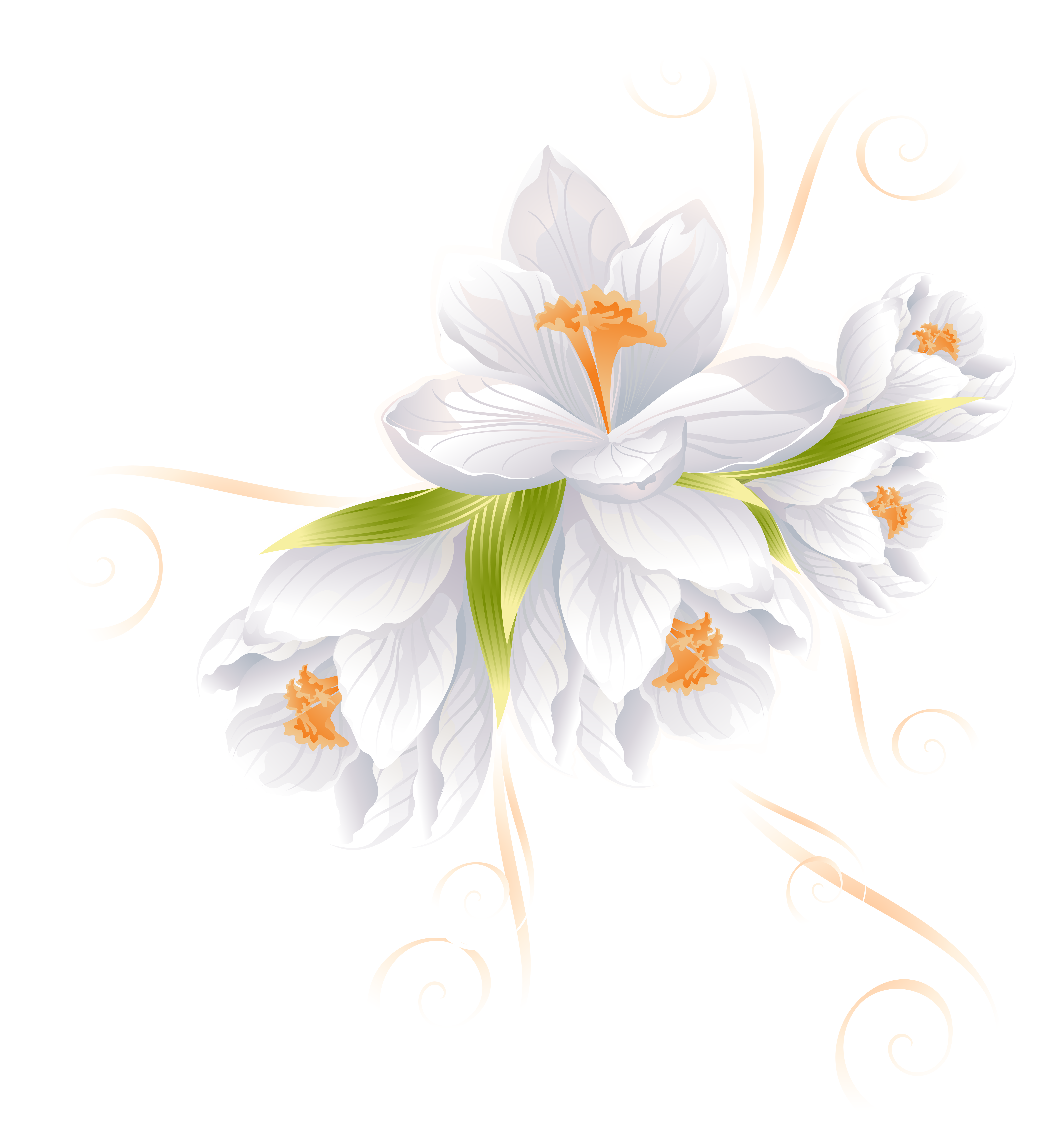white flower decor transparent png clip art image gallery