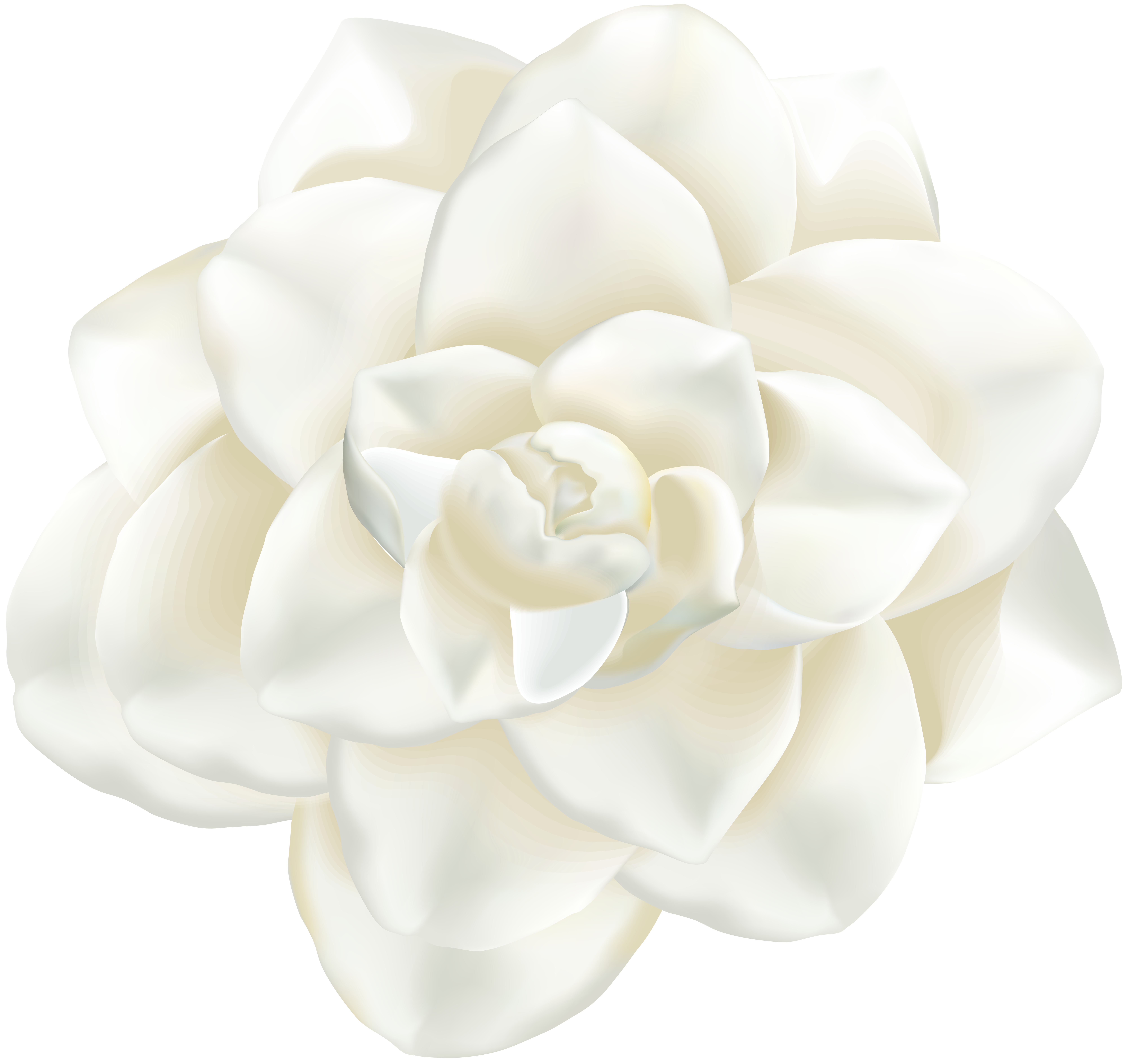 White Flower Png Clip Art Image Gallery Yopriceville High Quality Images And Transparent Png Free Clipart