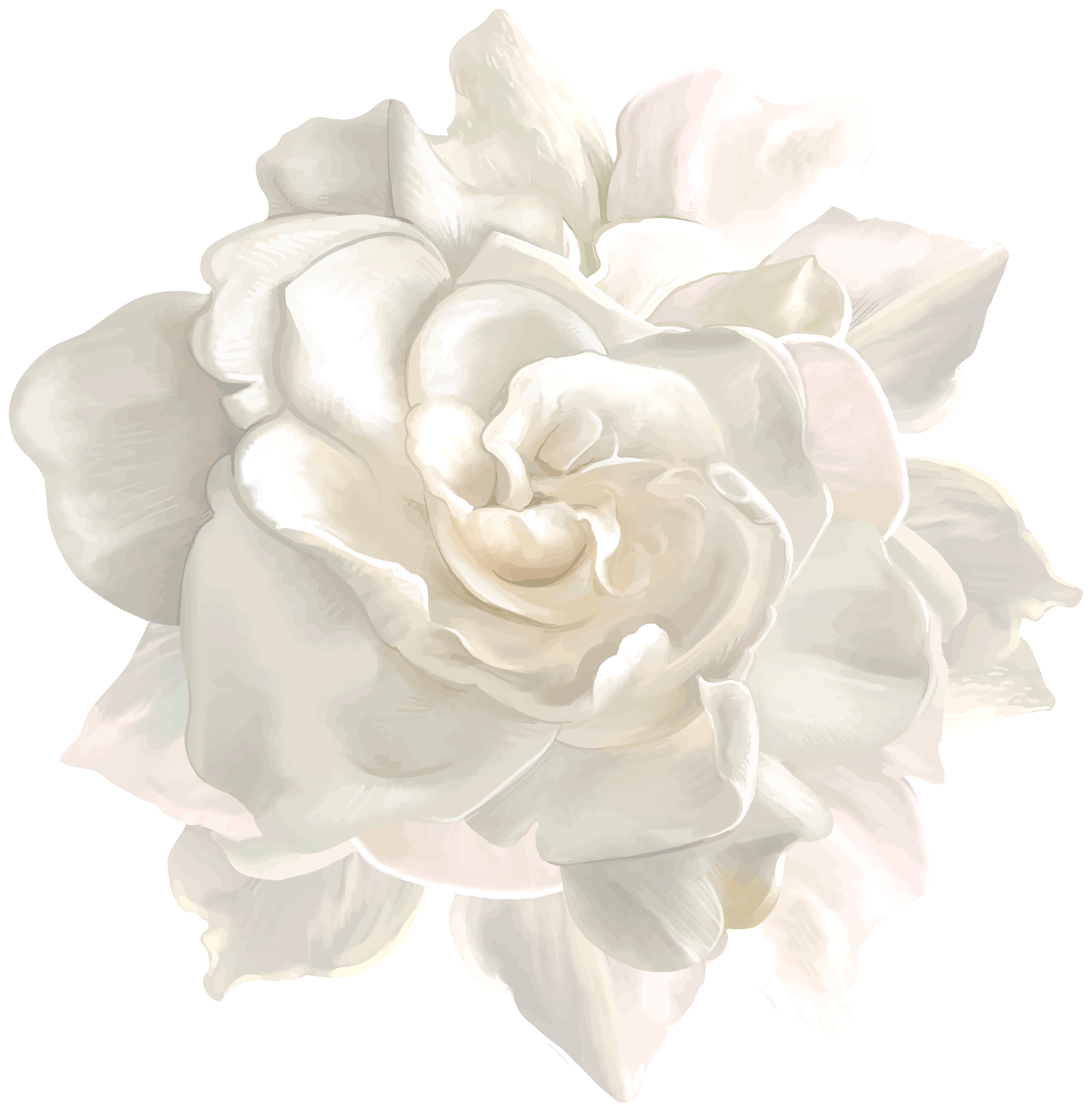 White Flower PNG Transparent Image​ | Gallery Yopriceville - High-Quality  Free Images and Transparent PNG Clipart