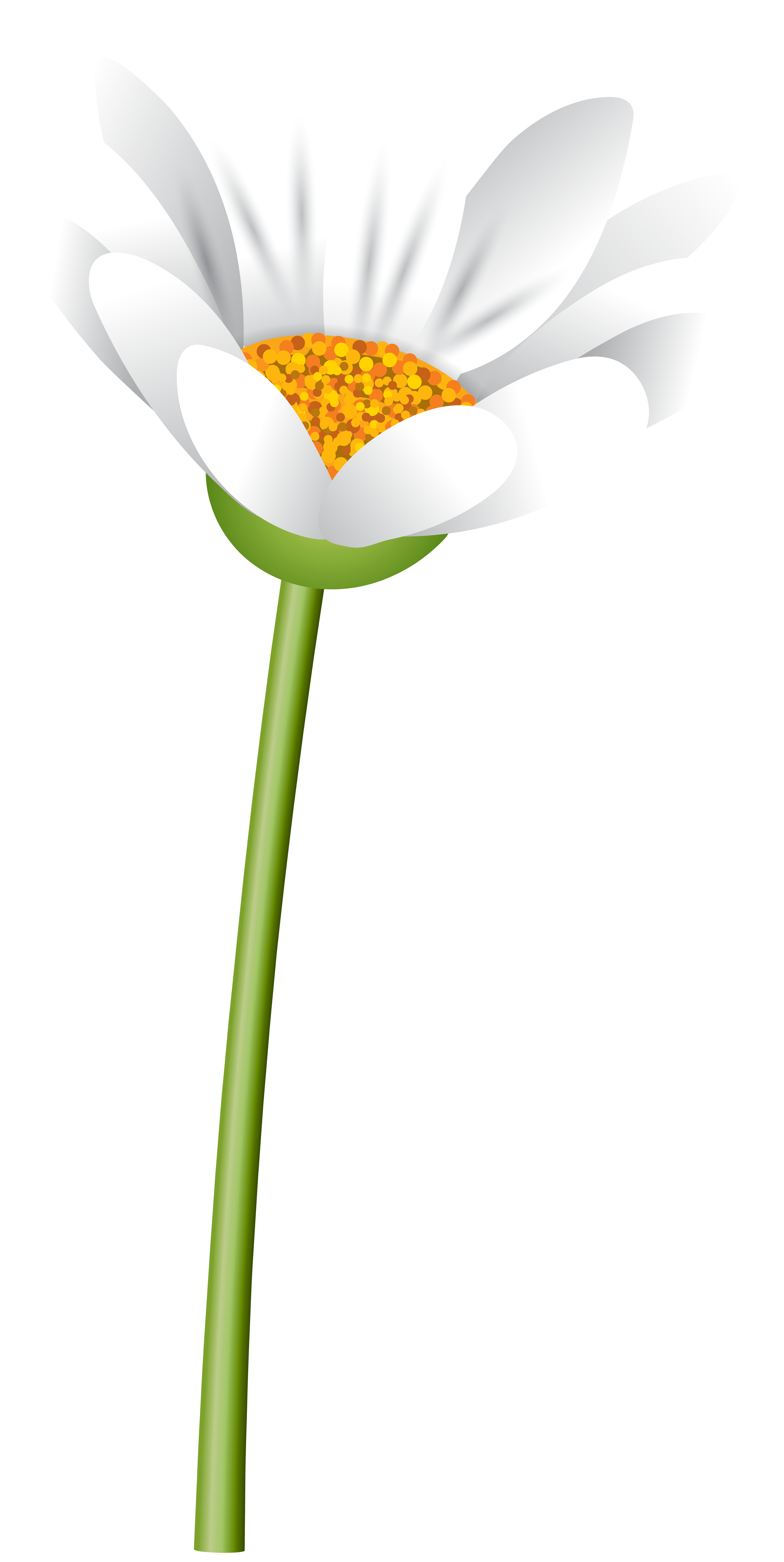 White Flower with Steam PNG Clipart | Gallery Yopriceville - High