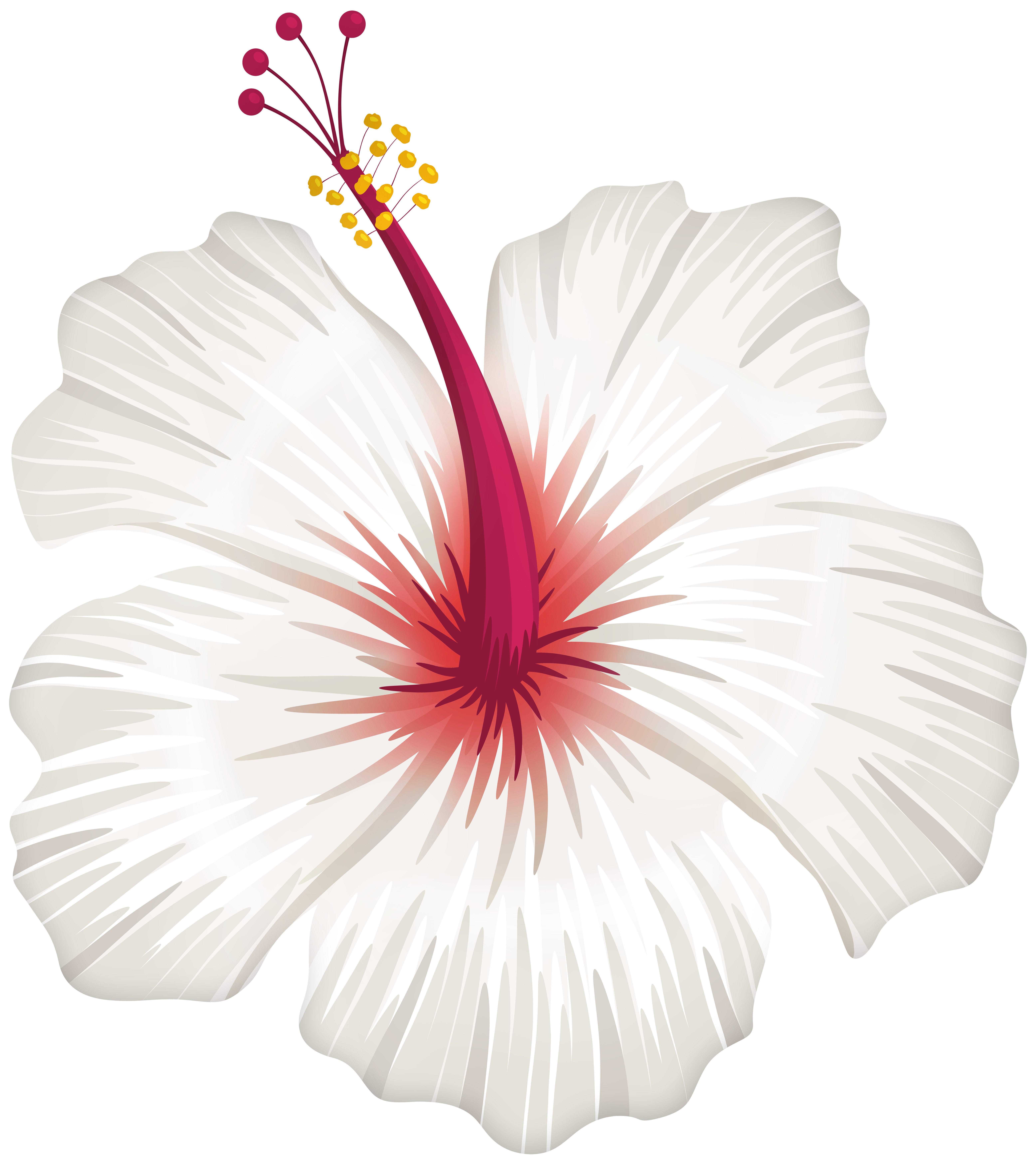 White Hibiscus Flower Png Transparent Clipart Gallery Yopriceville High Quality Free Images And Transparent Png Clipart White Hibiscus Flower Png Transparent Clipart Gallery Yopriceville High Quality Free Images And Transparent Png Clipart