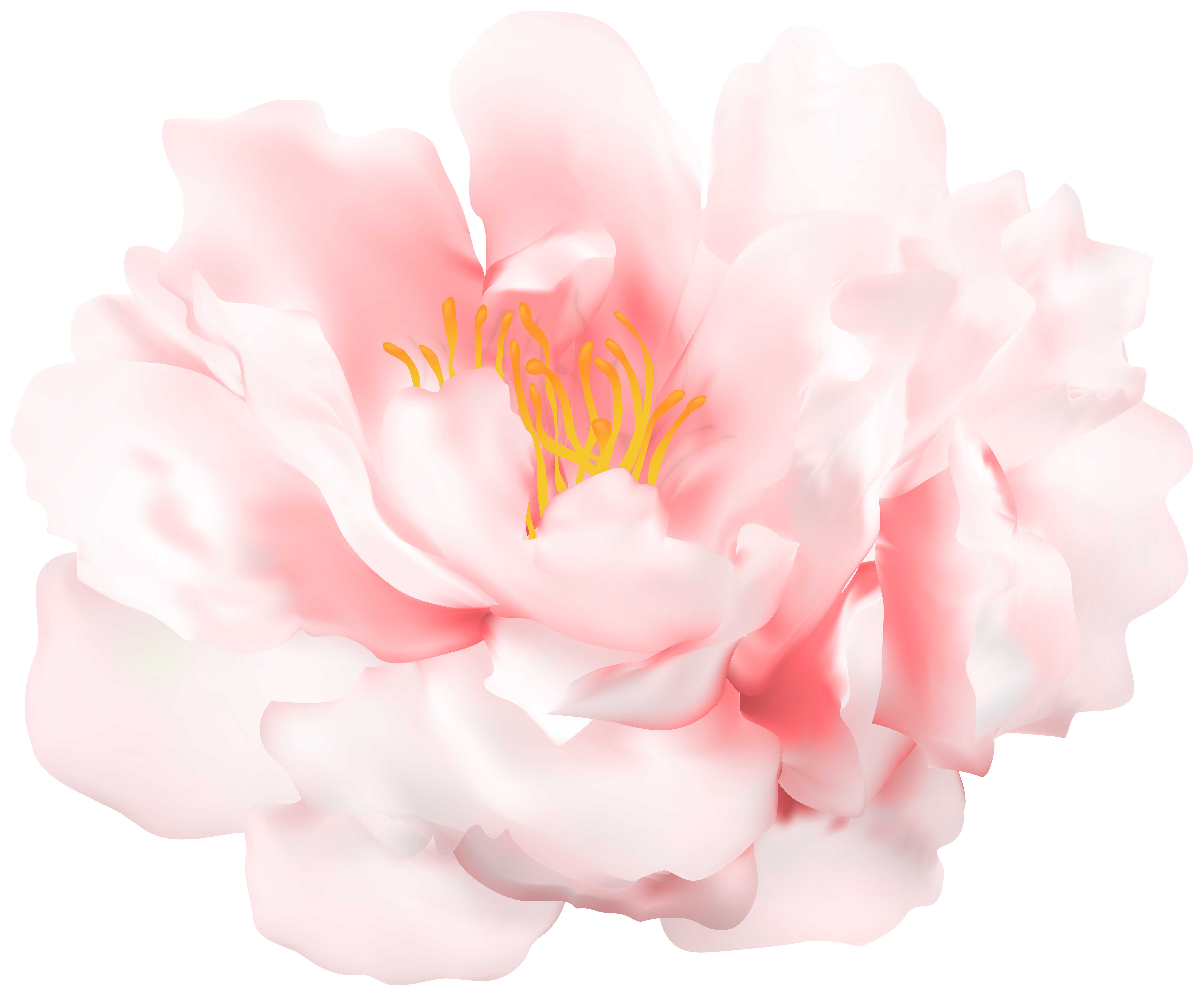 White Pink Flower Png Clipart Gallery Yopriceville High Quality Images And Transparent Png Free Clipart White Pink Flower Png Clipart Gallery Yopriceville High Quality Images And Transparent Png Free Clipart